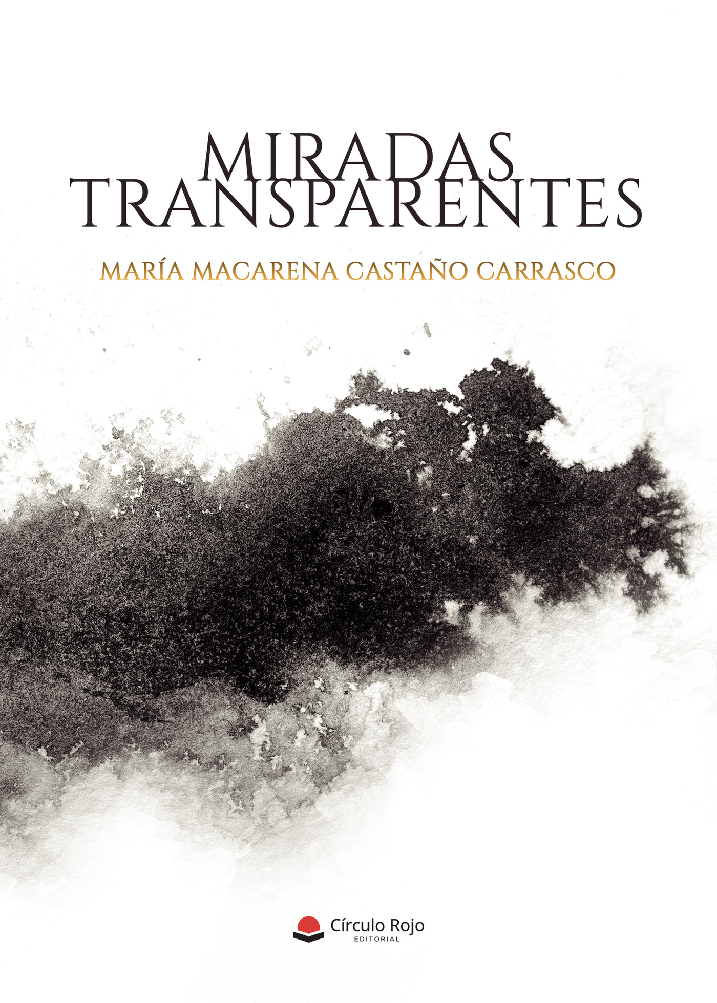 Portada de Miradas transparentes