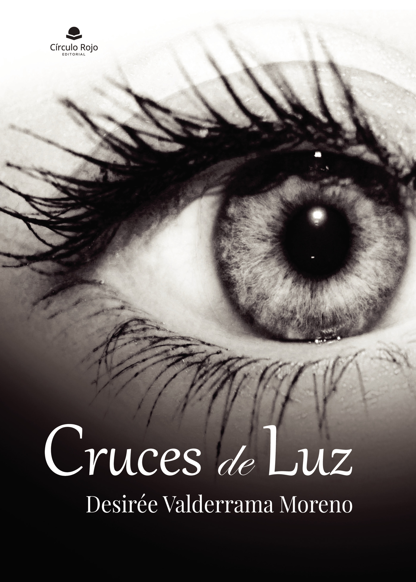 Portada de Cruces de luz