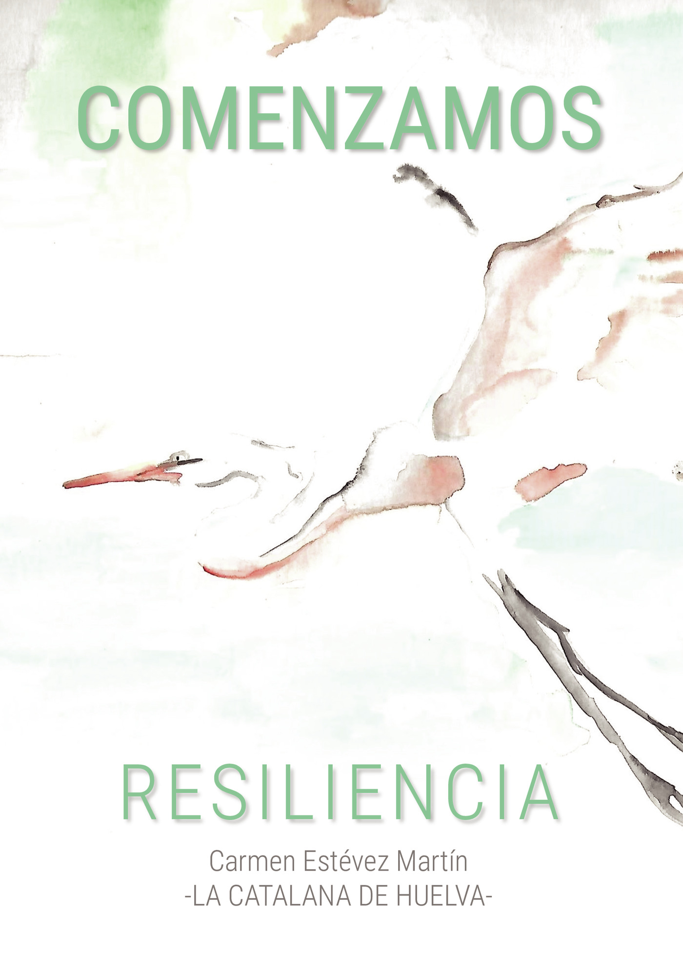 Portada de Comenzamos