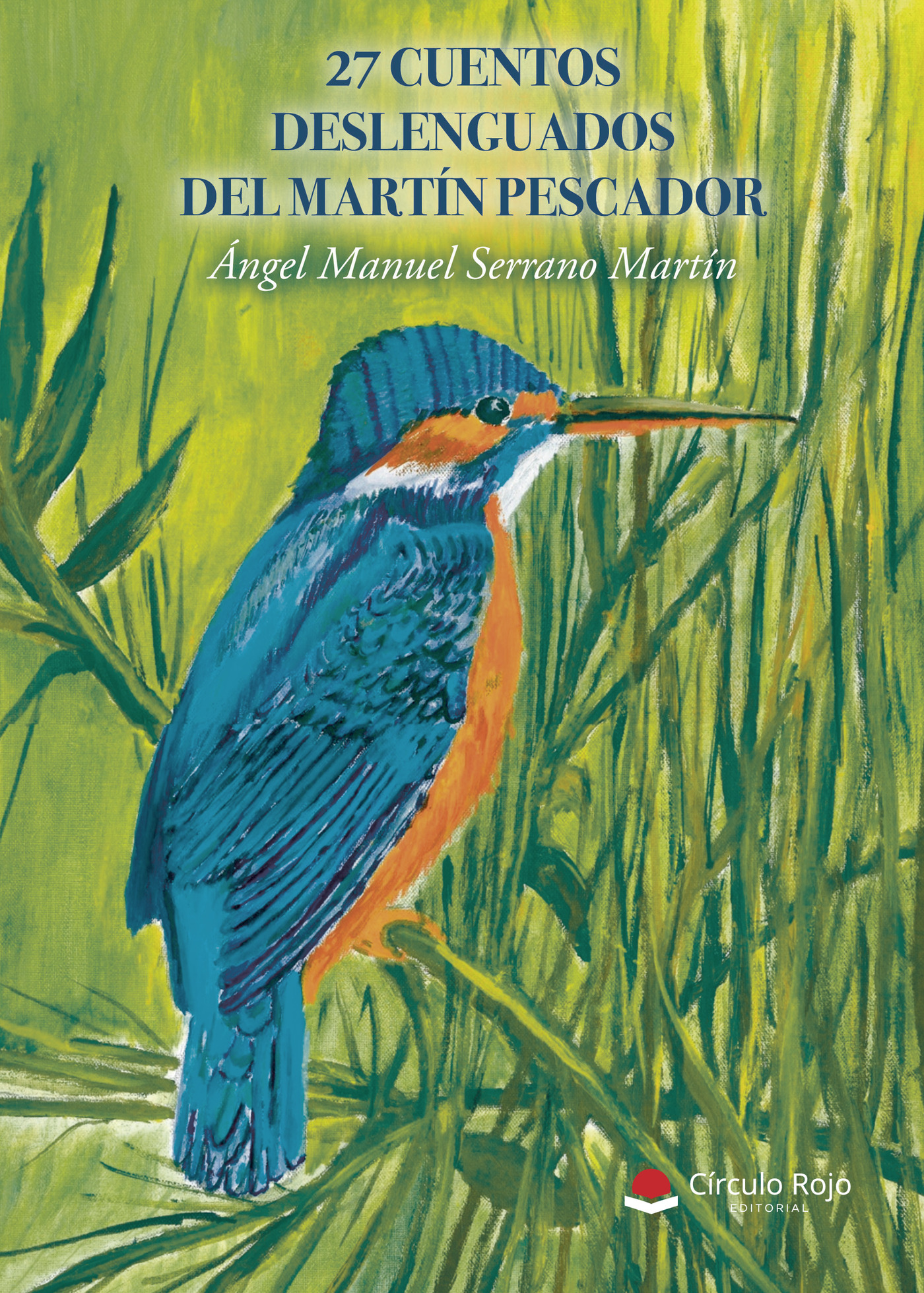 Portada de 27 cuentos deslenguados del Martín Pescador