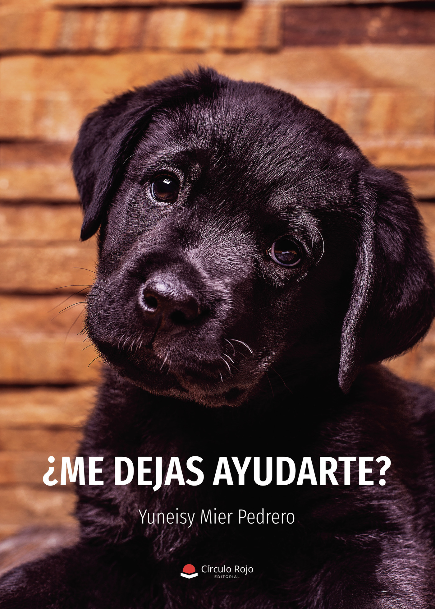 Portada de ¿Me dejas ayudarte?