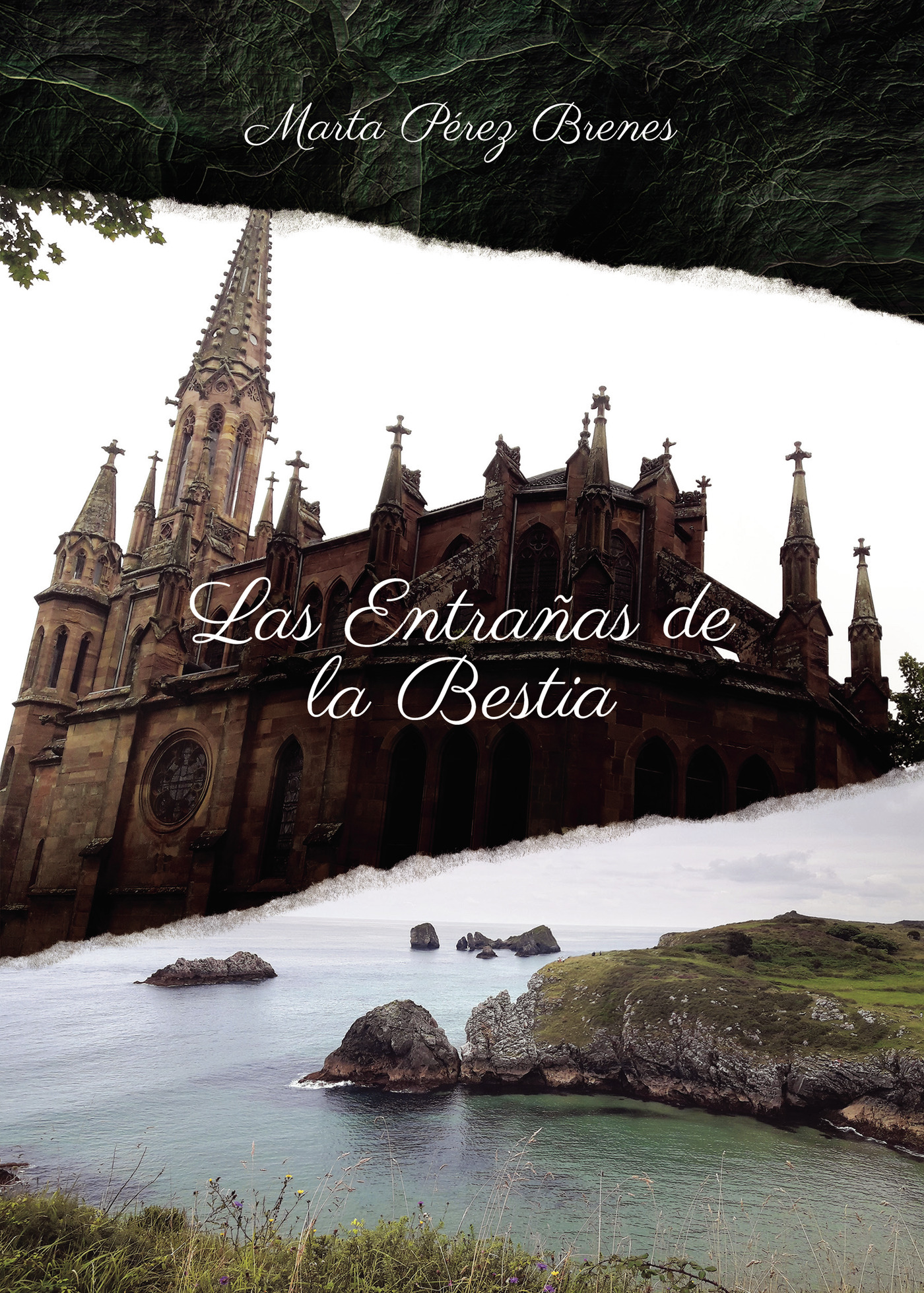 Portada de Las entrañas de la bestia