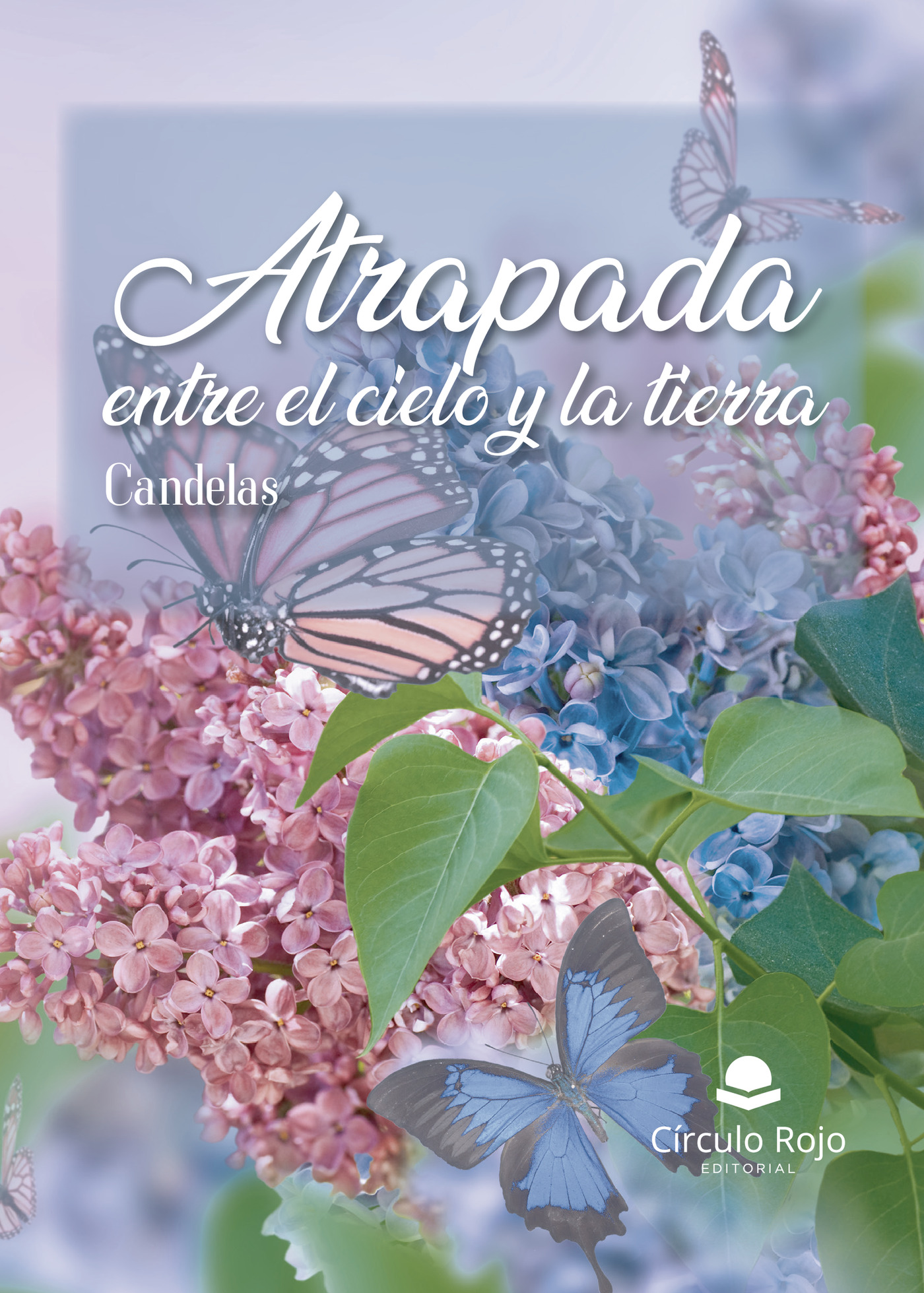 Portada de Atrapada entre el cielo y la tierra