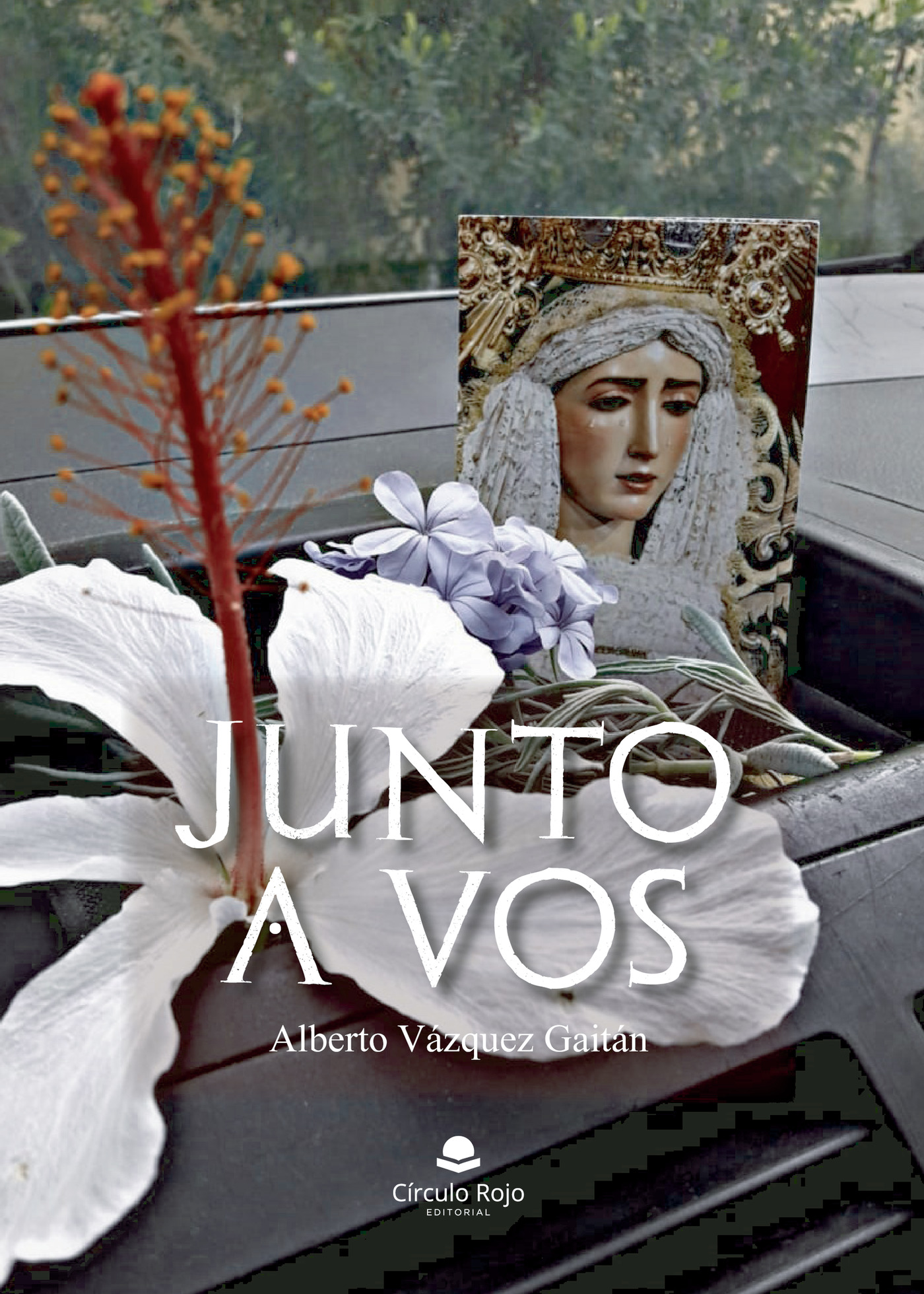 Portada de Junto a vos · Alberto Vázquez Gaitán