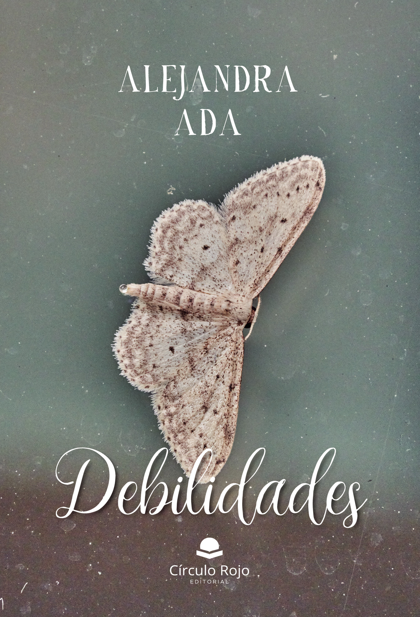 Portada de Debilidades