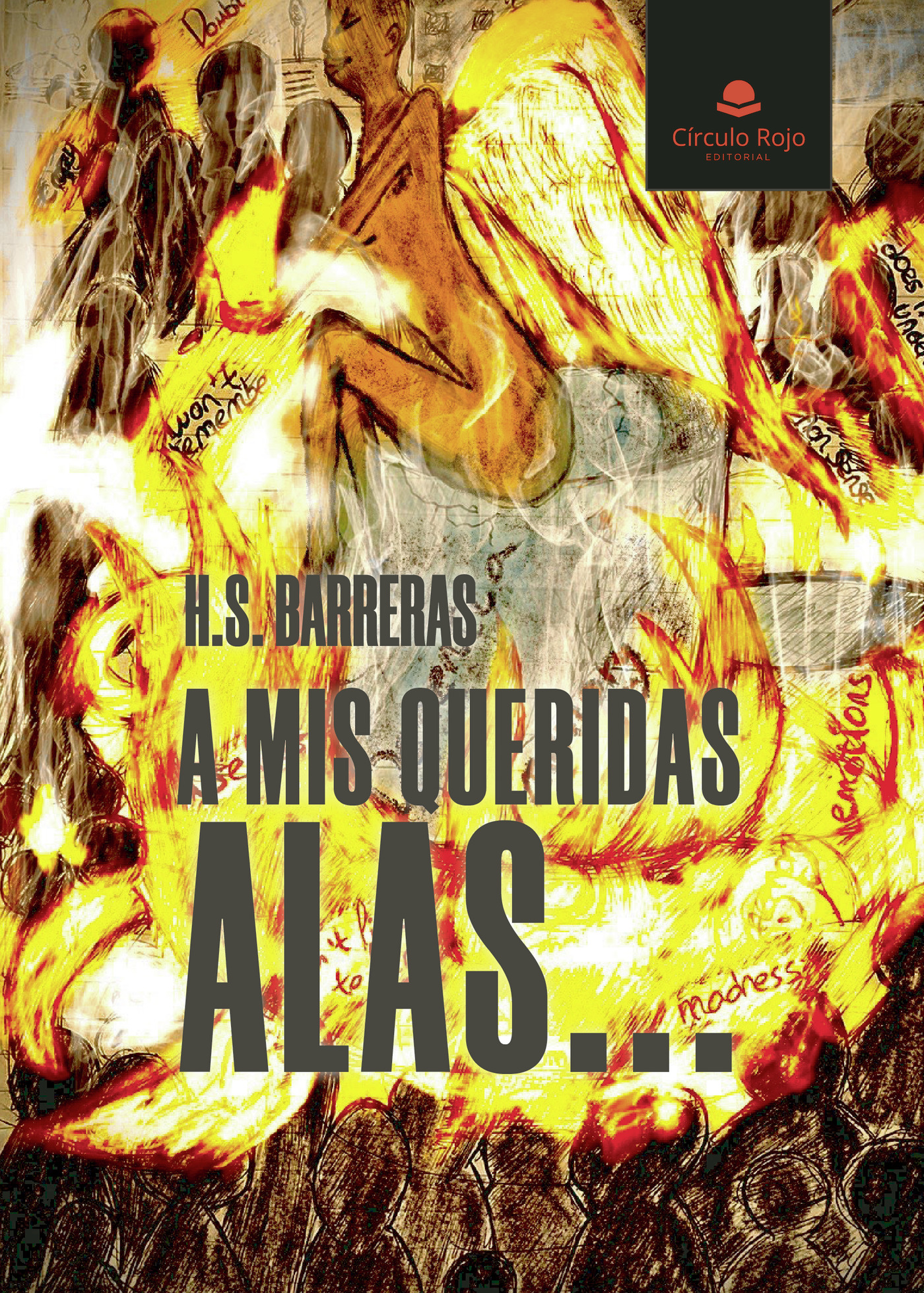 Portada de A mis queridas alas...