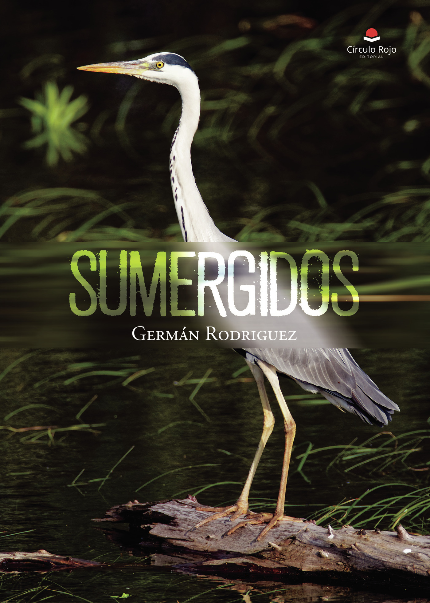 Portada de Sumergidos · Germán Antonio Rodriguez Echeverri
