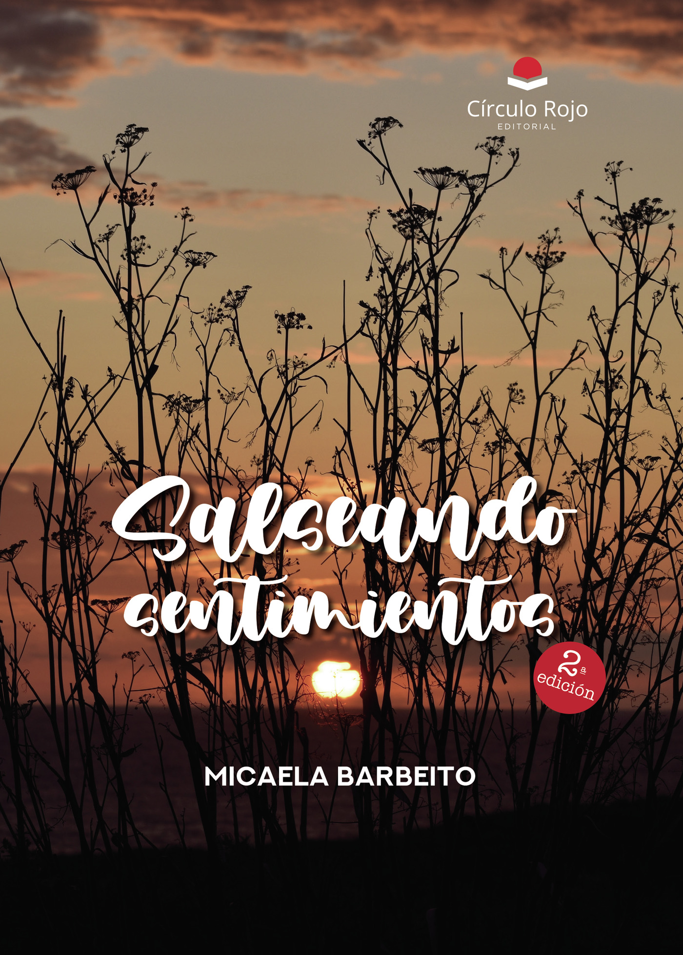 Portada de Salseando sentimientos