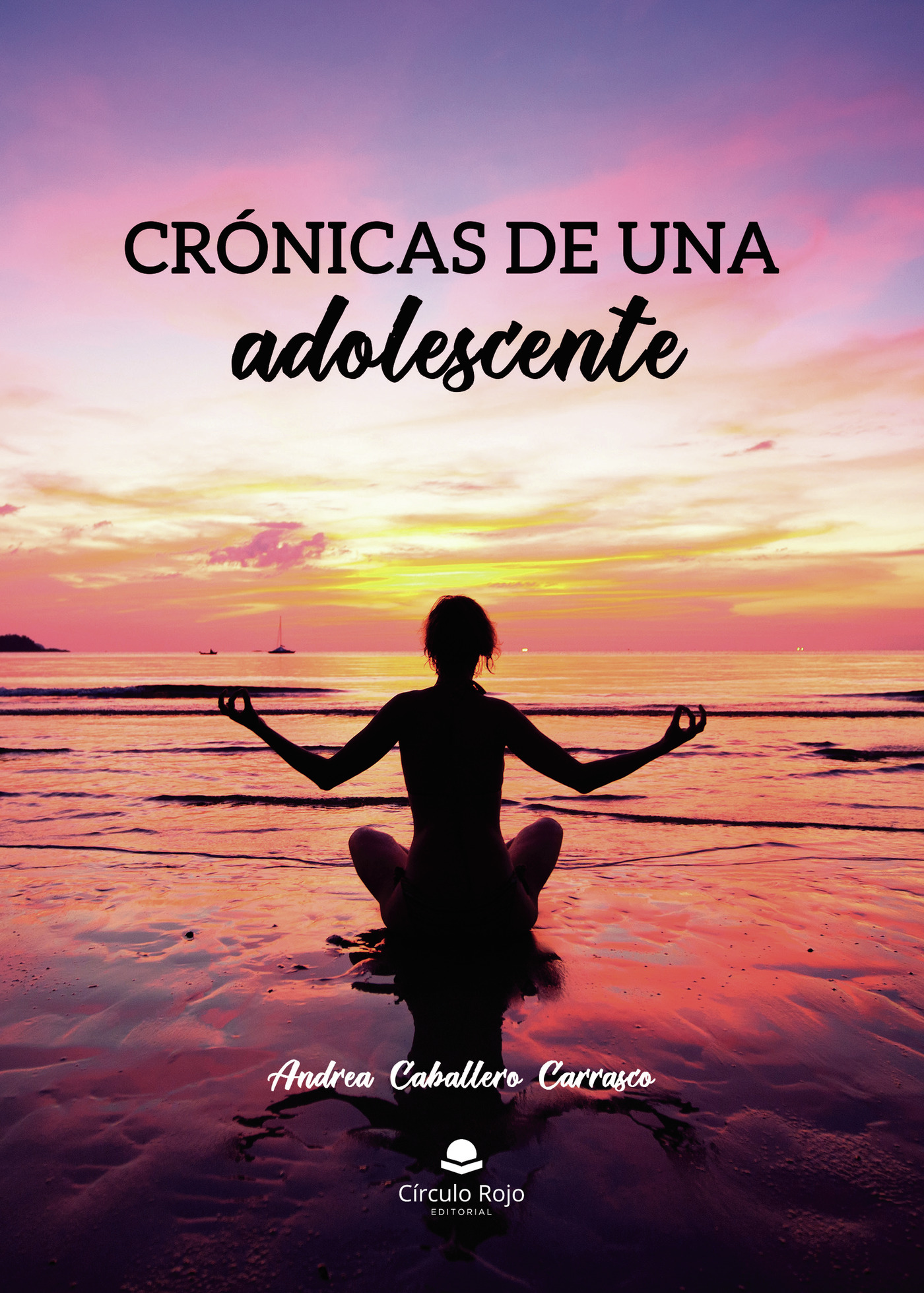 Portada de Crónicas de una adolescente