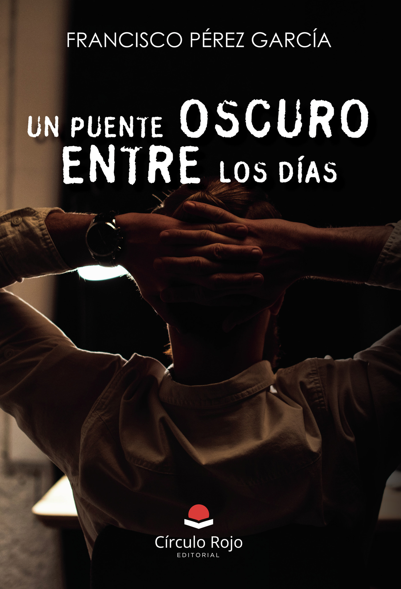 Portada de Un puente oscuro entre los días