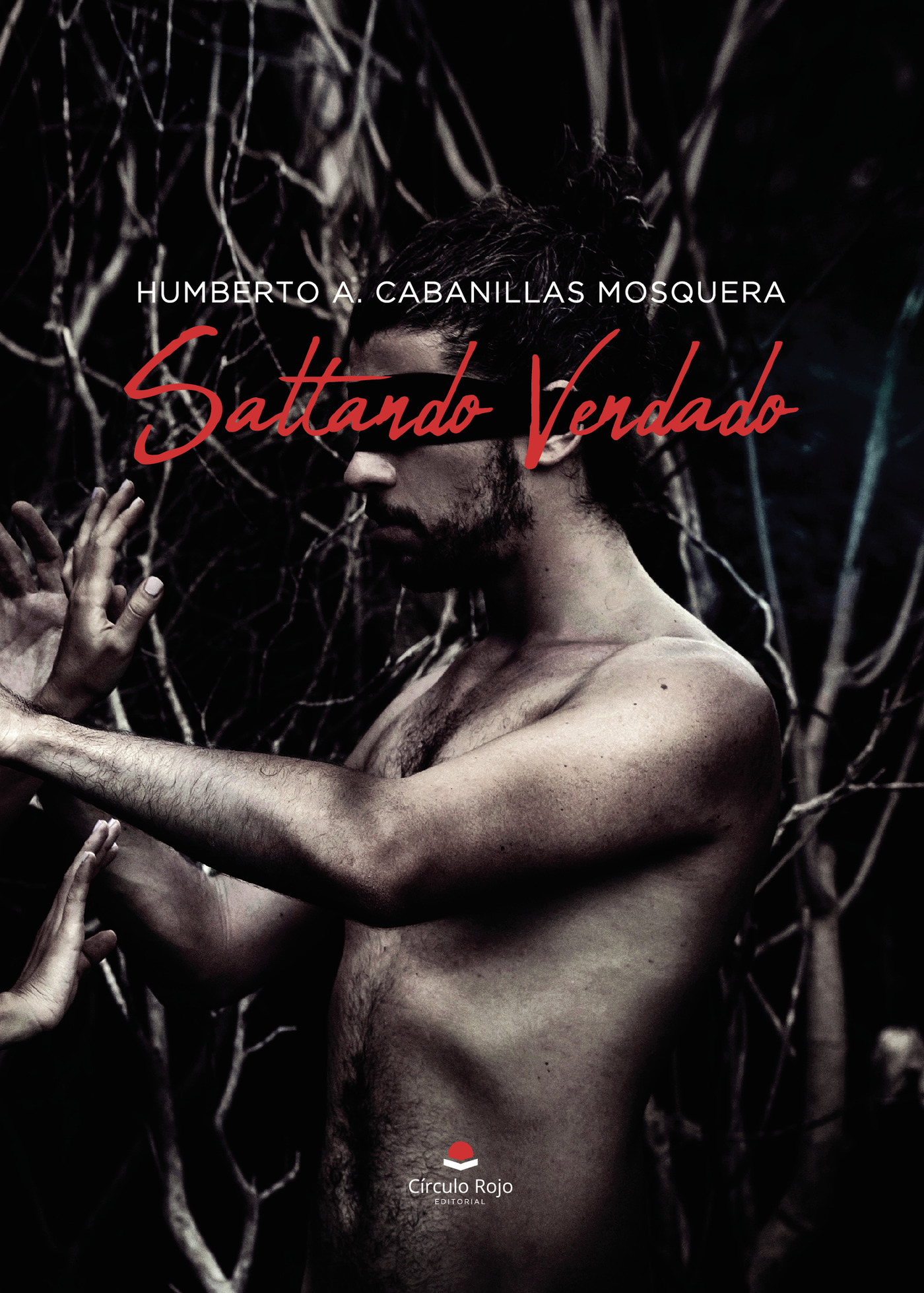 Portada de Saltando Vendado