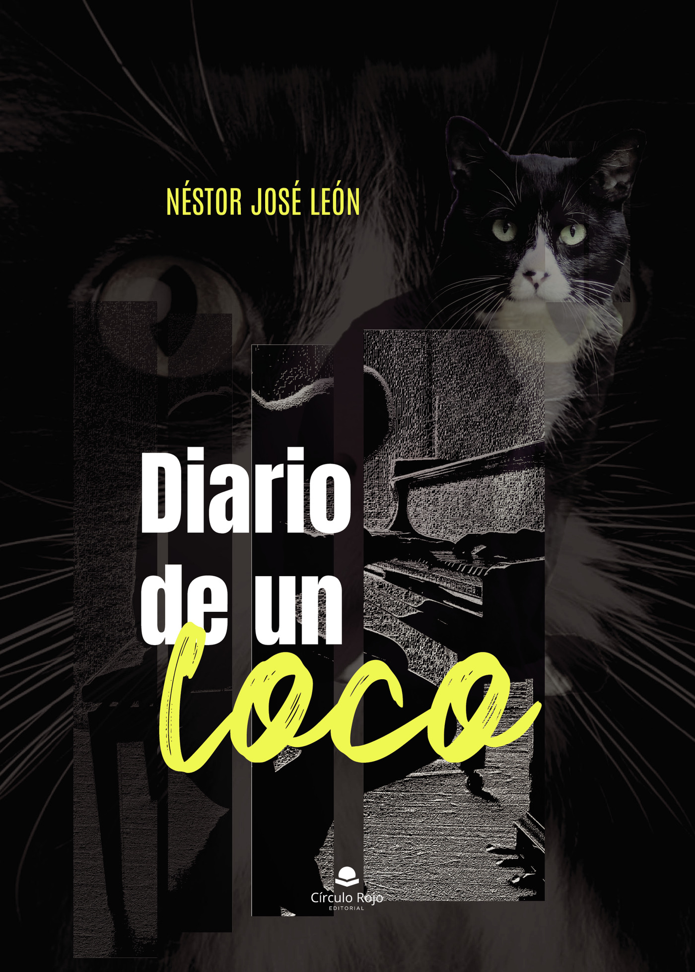 Portada de Diario de un loco