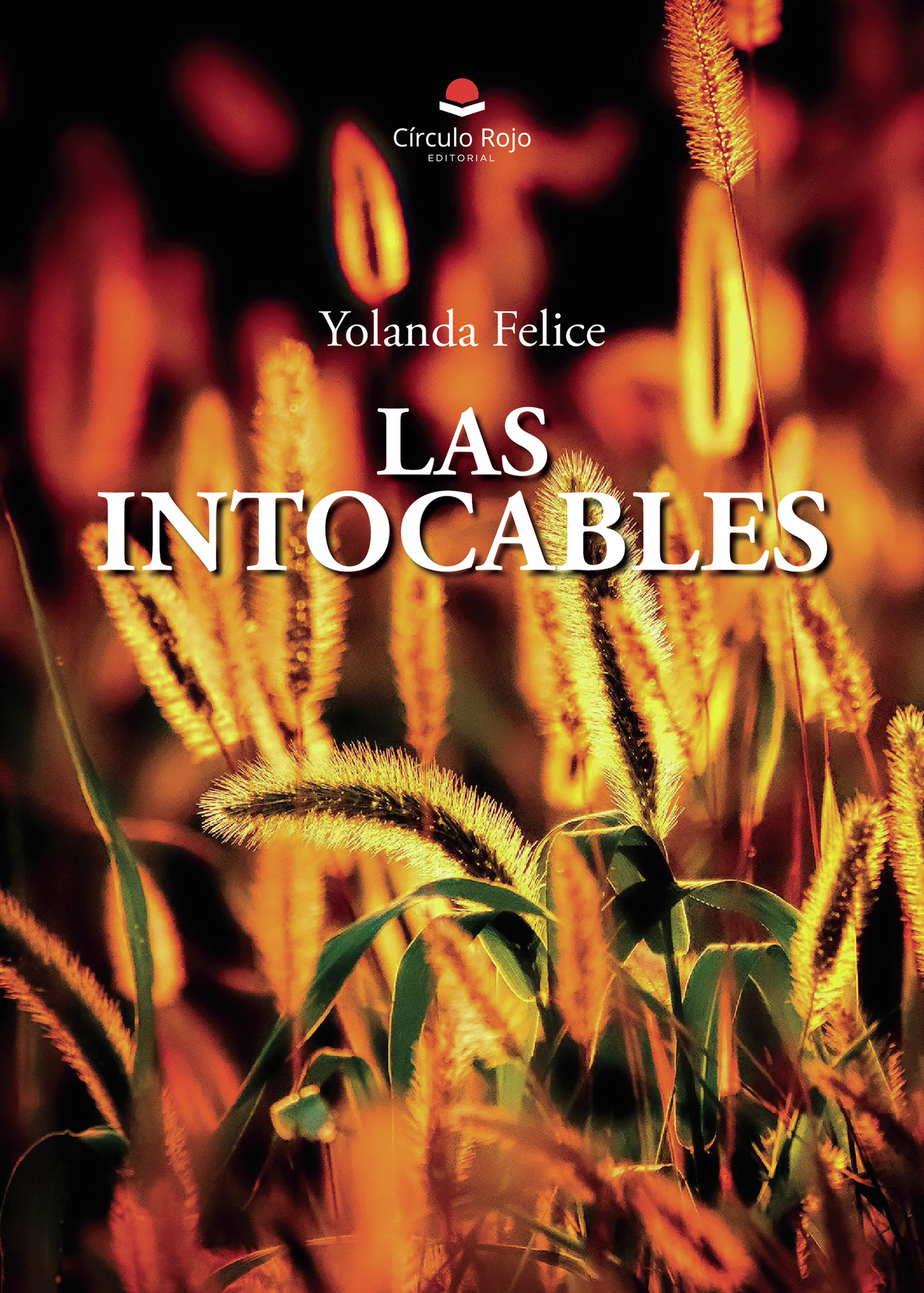 Portada de Las intocables