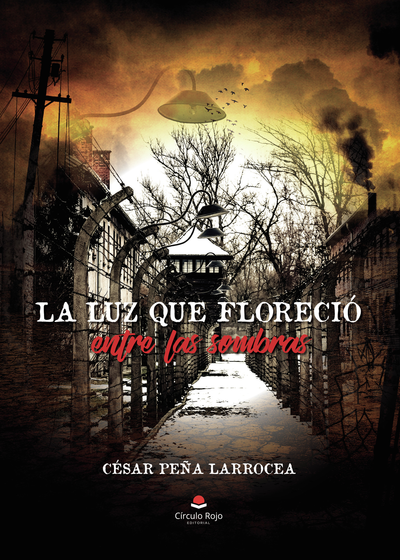 Portada de La luz que floreció entre las sombras · César Peña Larrocea