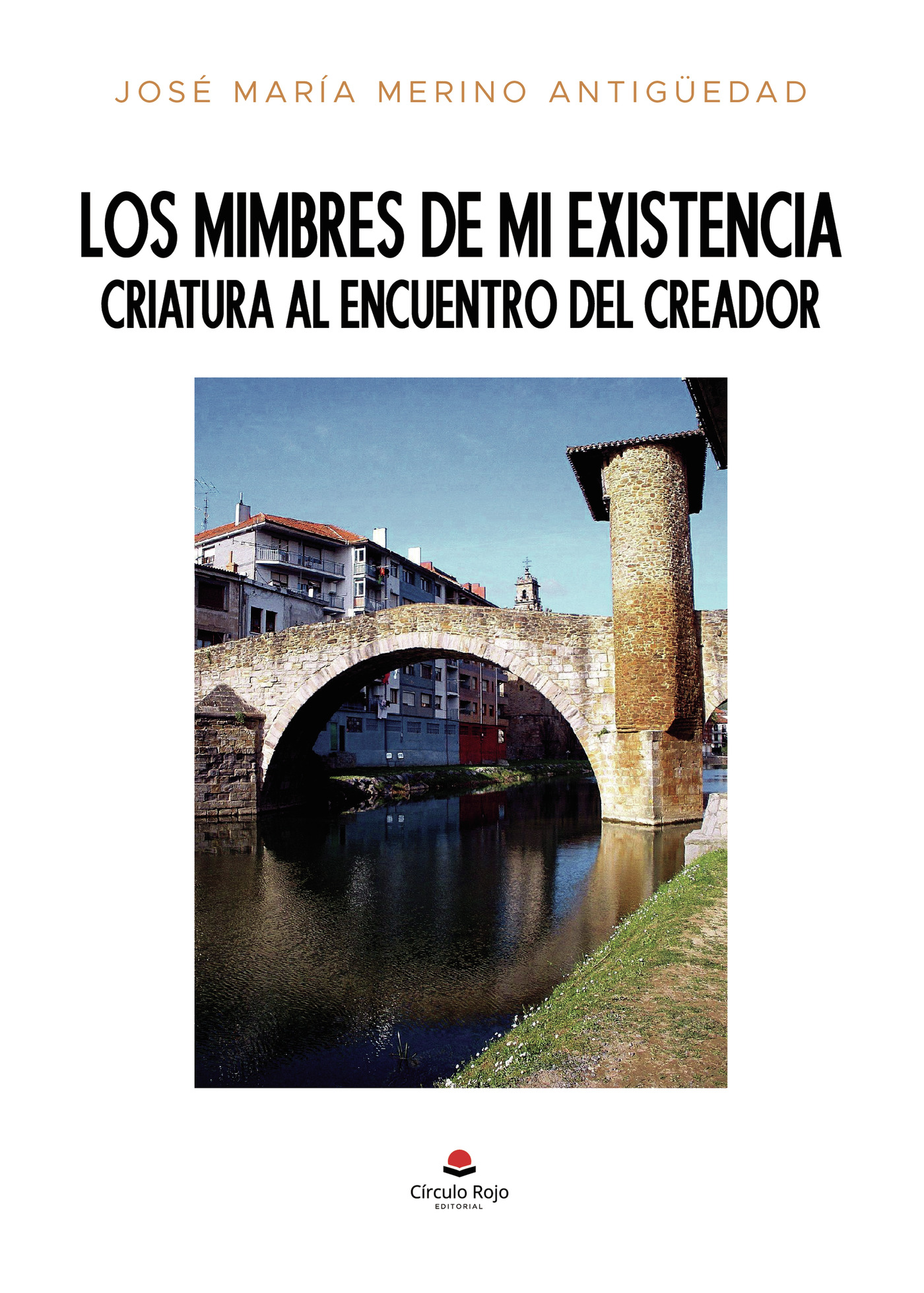 Portada de Los mimbres de mi existencia