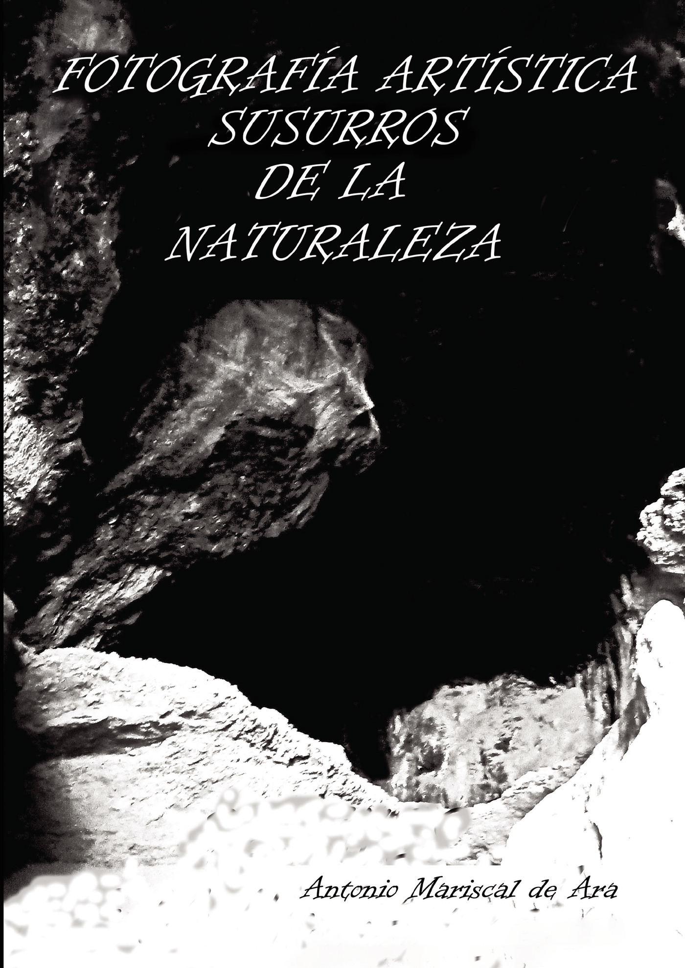 Portada de Fotografía artística susurros de la naturaleza