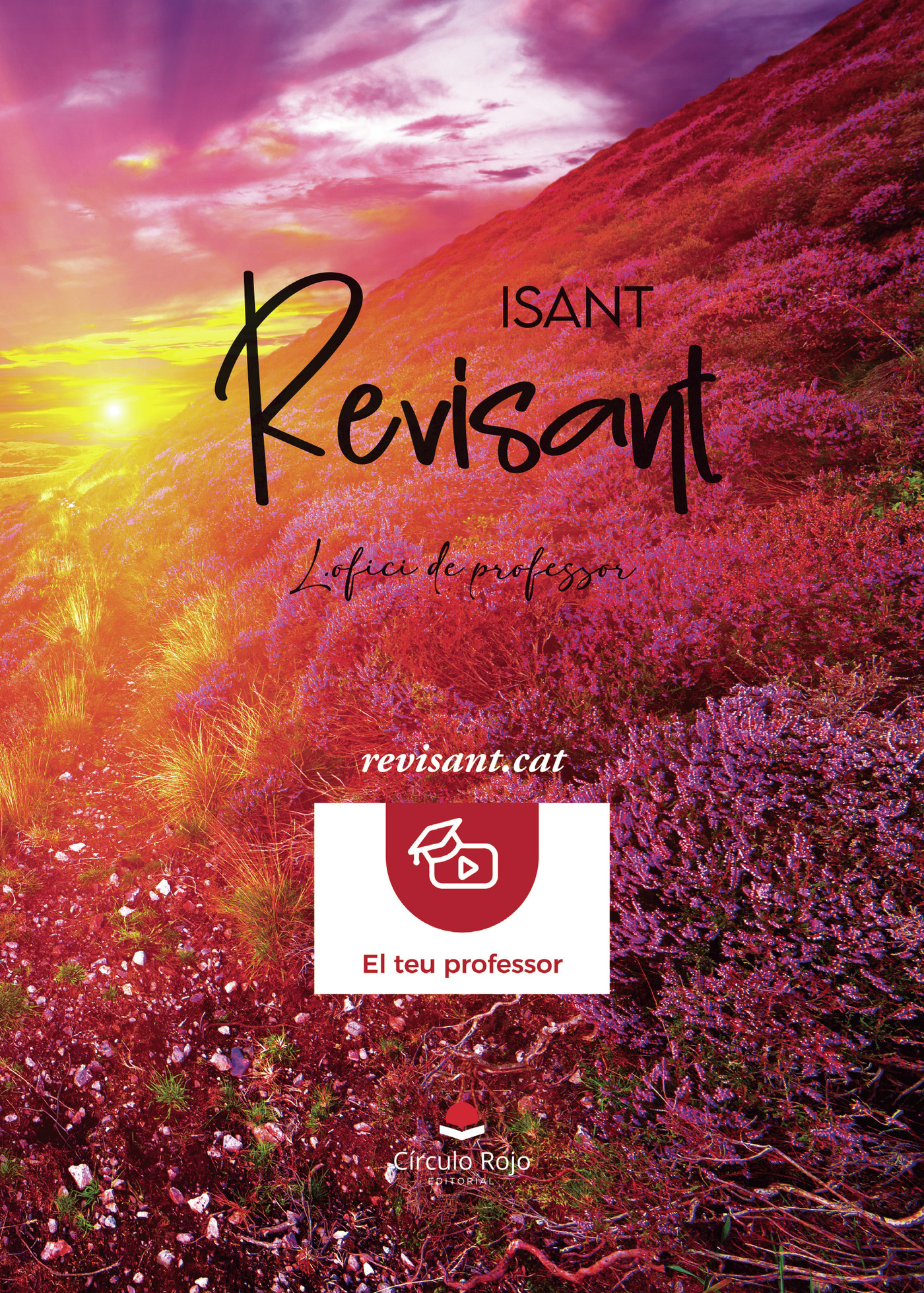 Portada de Revisant