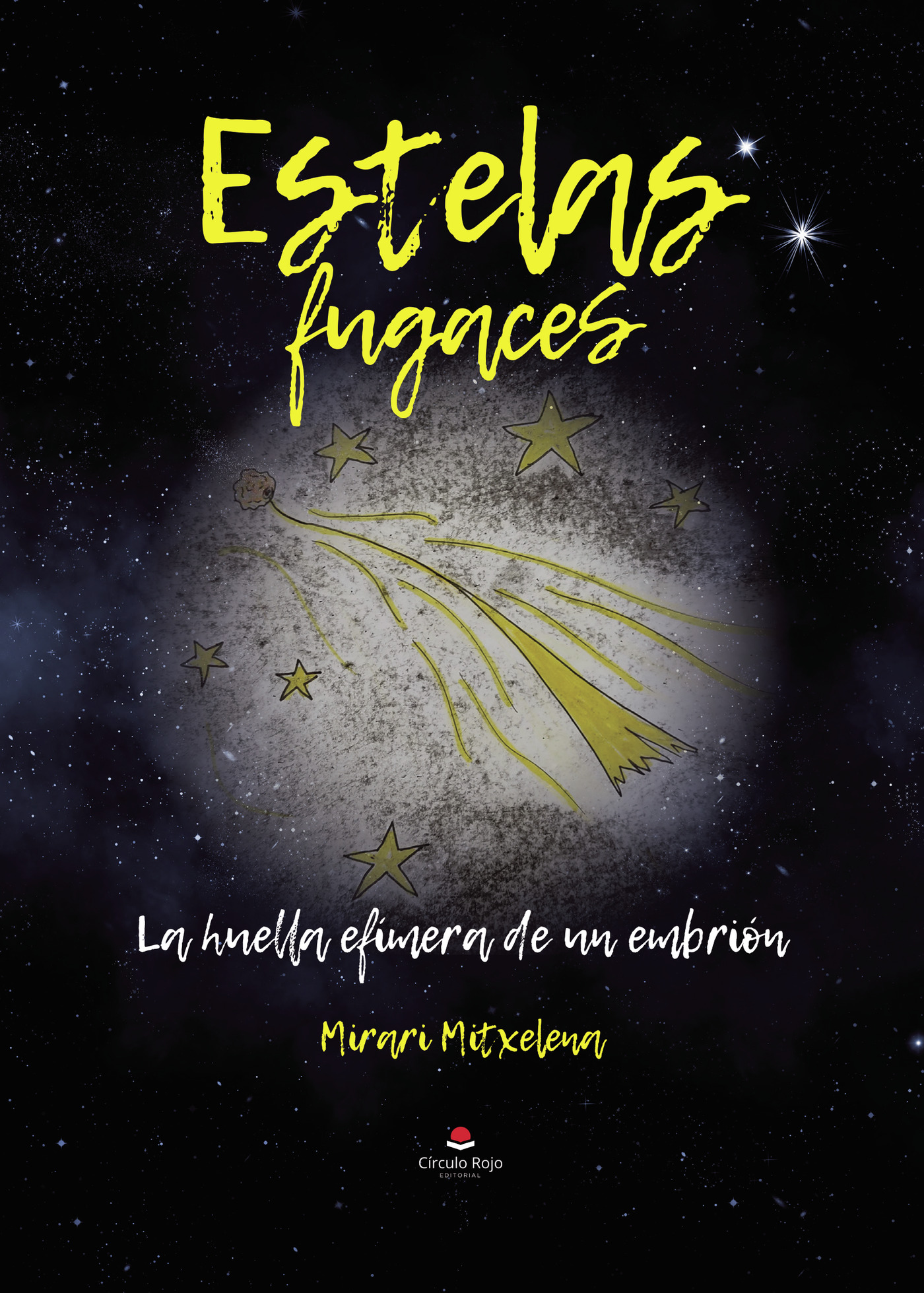 Portada de Estelas fugaces. La huella efímera de un embrión