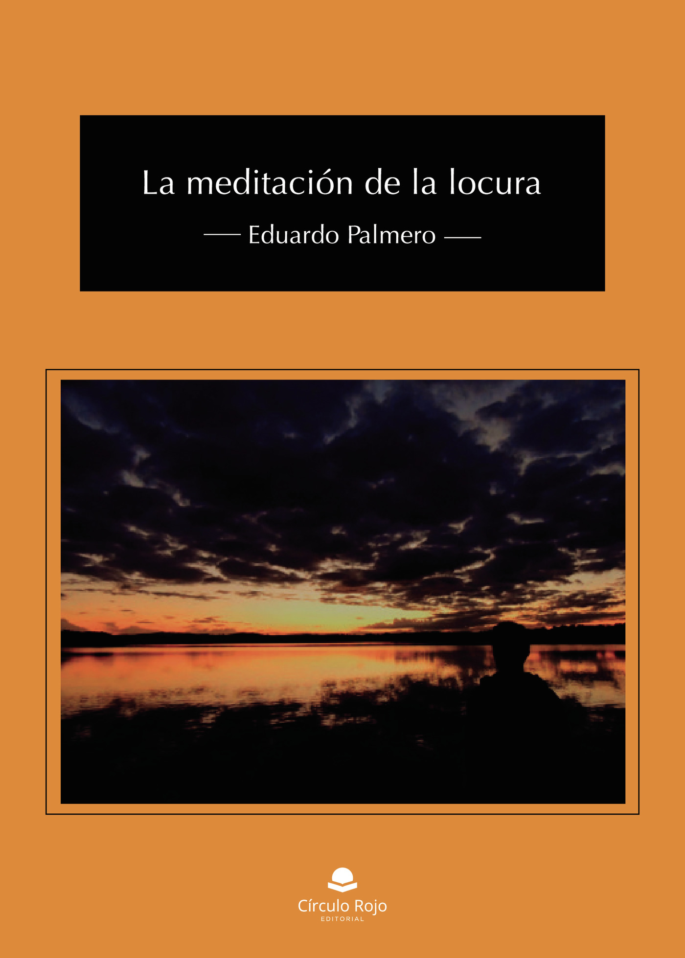 Portada de La meditación de la locura