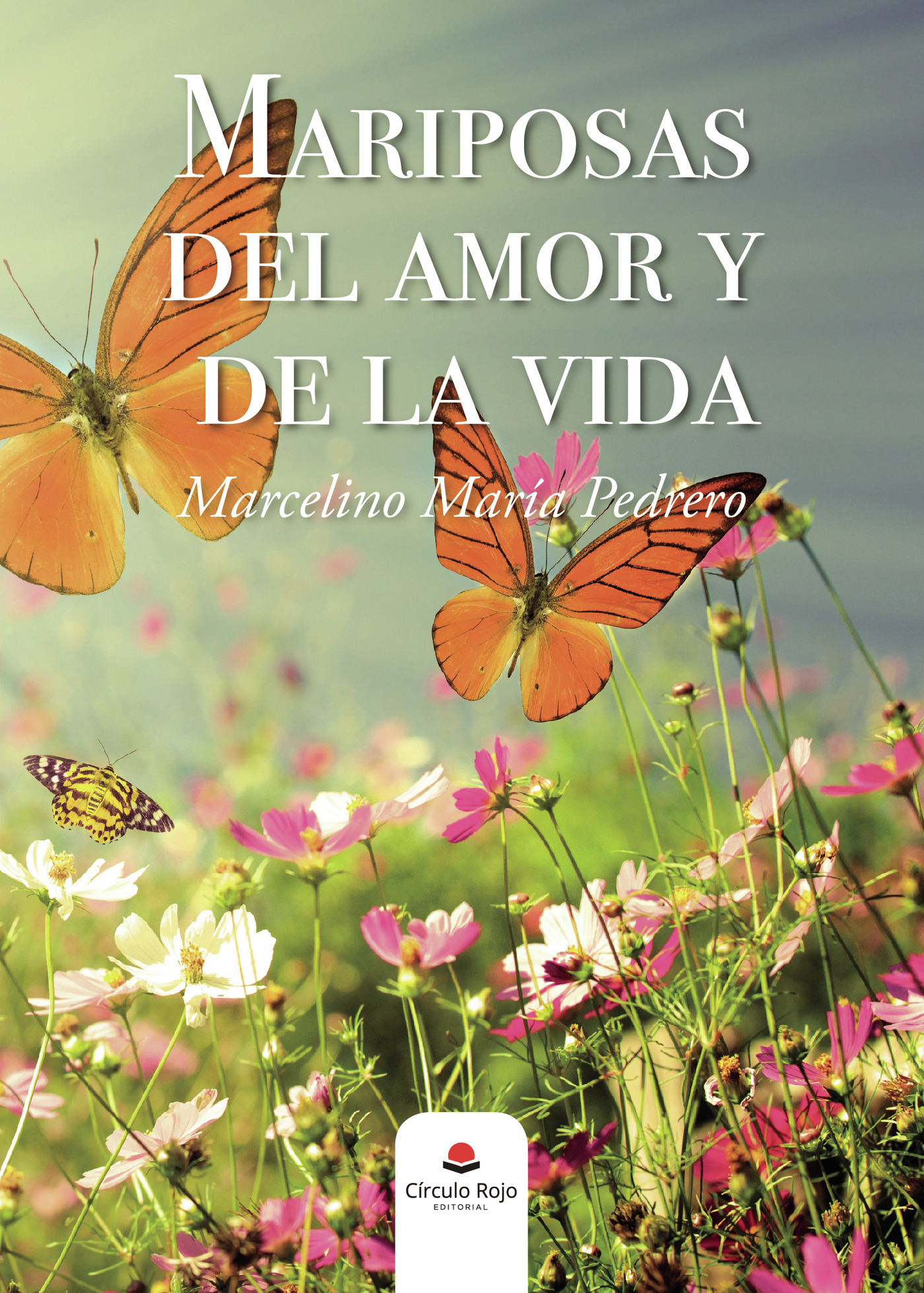 Portada de Mariposas del amor y de la vida