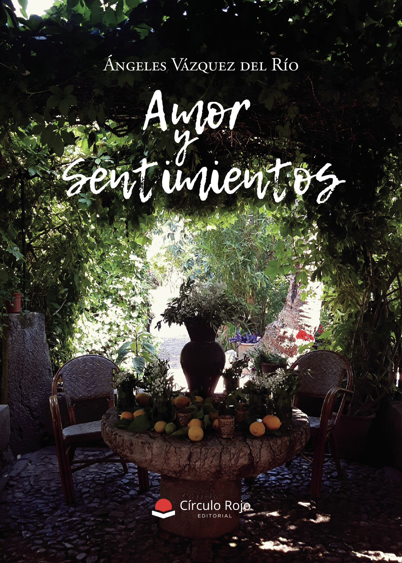 Portada de Amor y Sentimientos