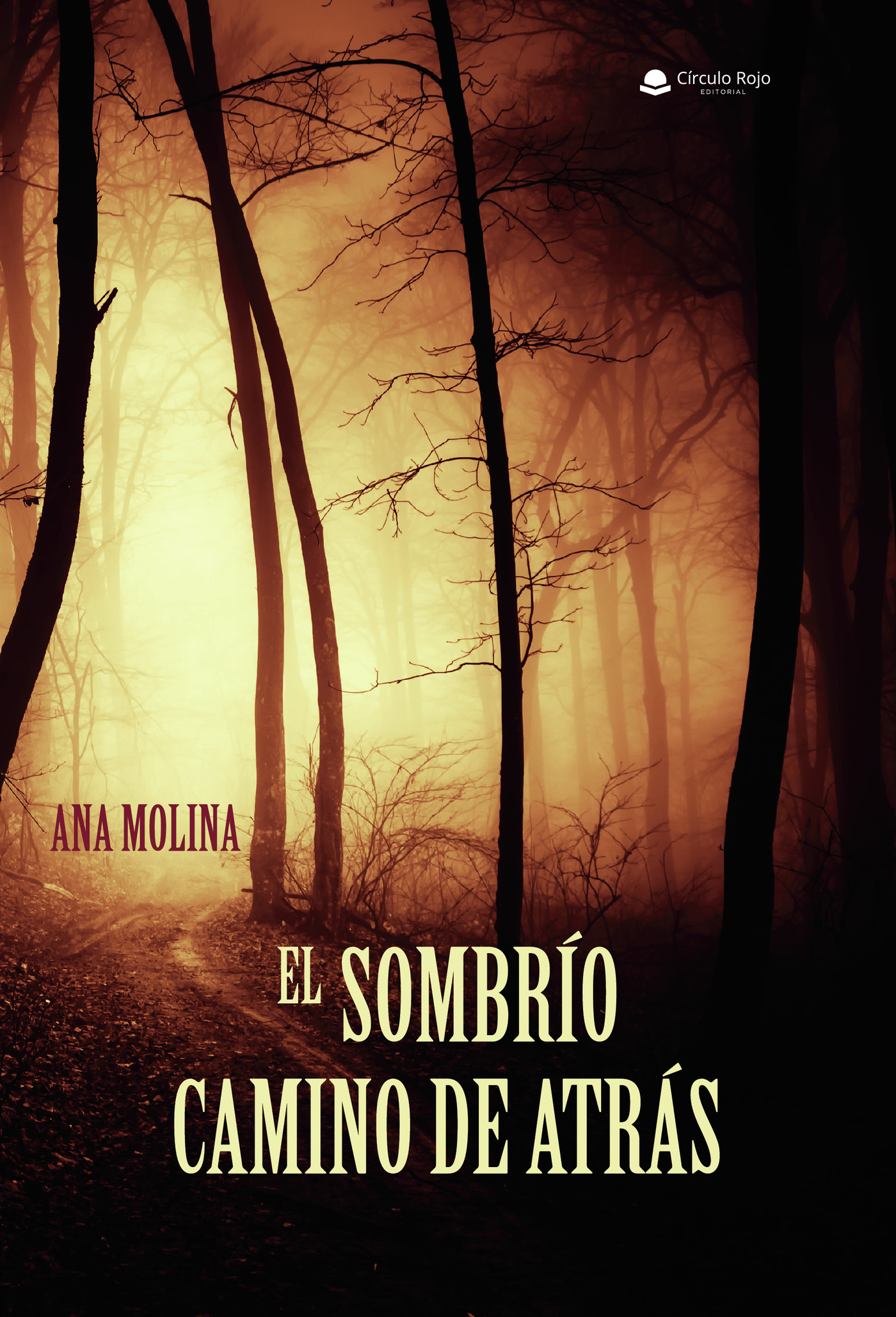 Portada de El sombrío camino de atrás