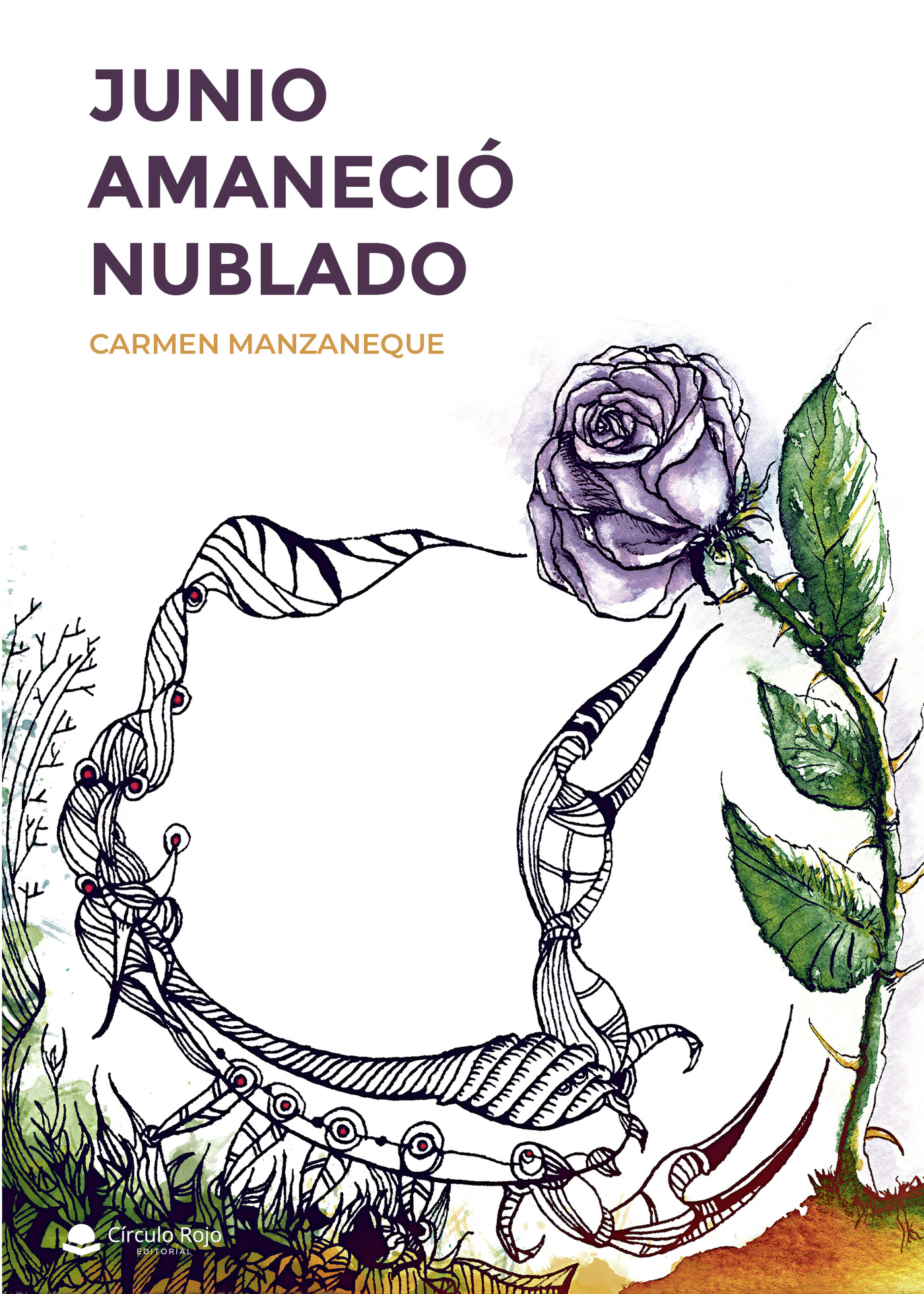 Portada de Junio amaneció nublado