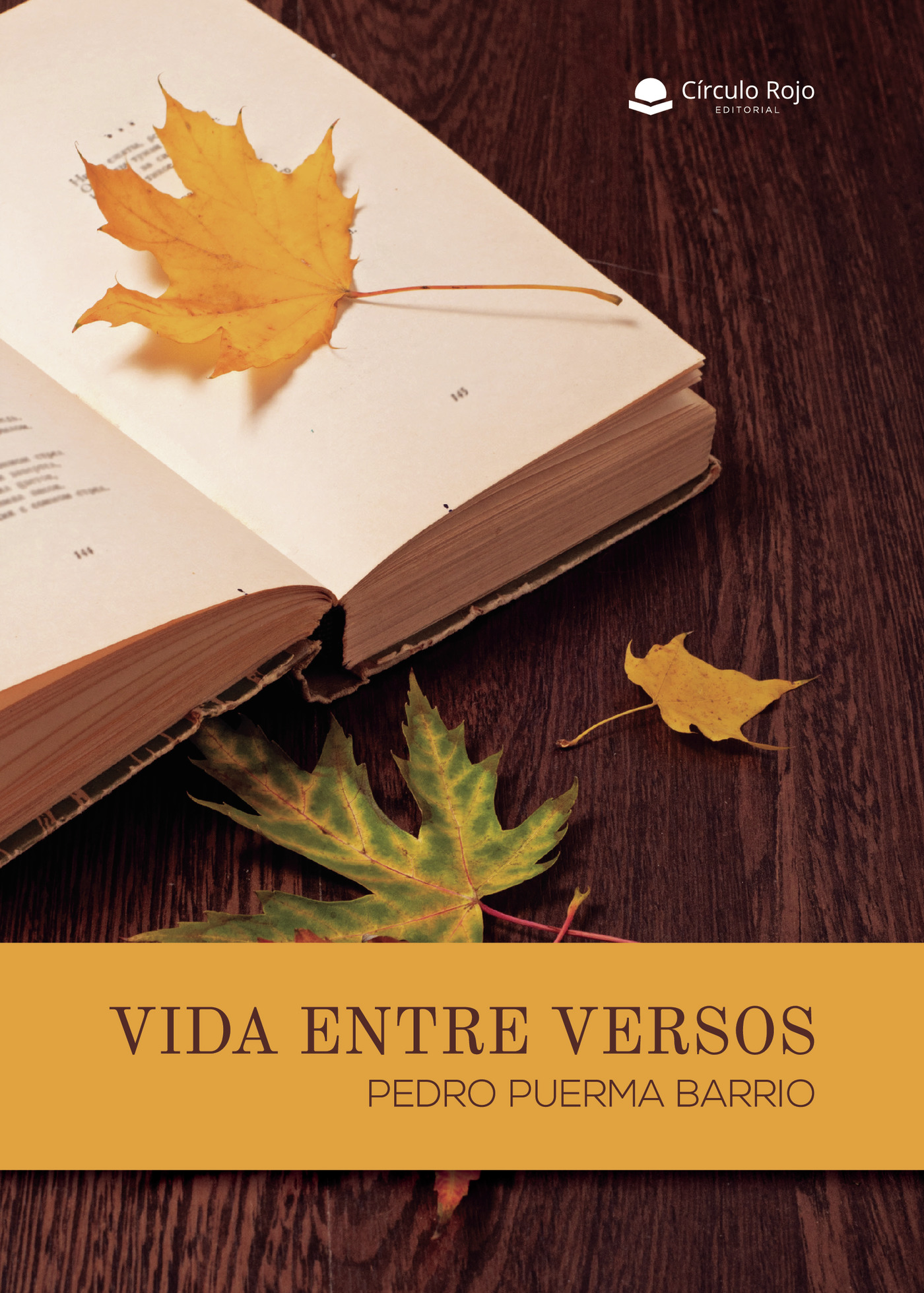 Portada de Vida entre versos