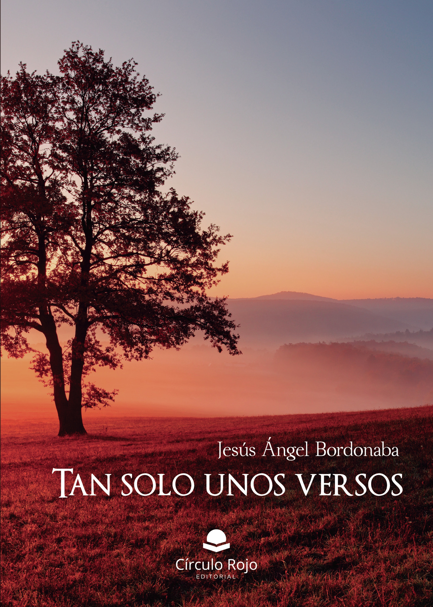 Portada de Tan solo unos versos · Jesús Ángel Bordonaba
