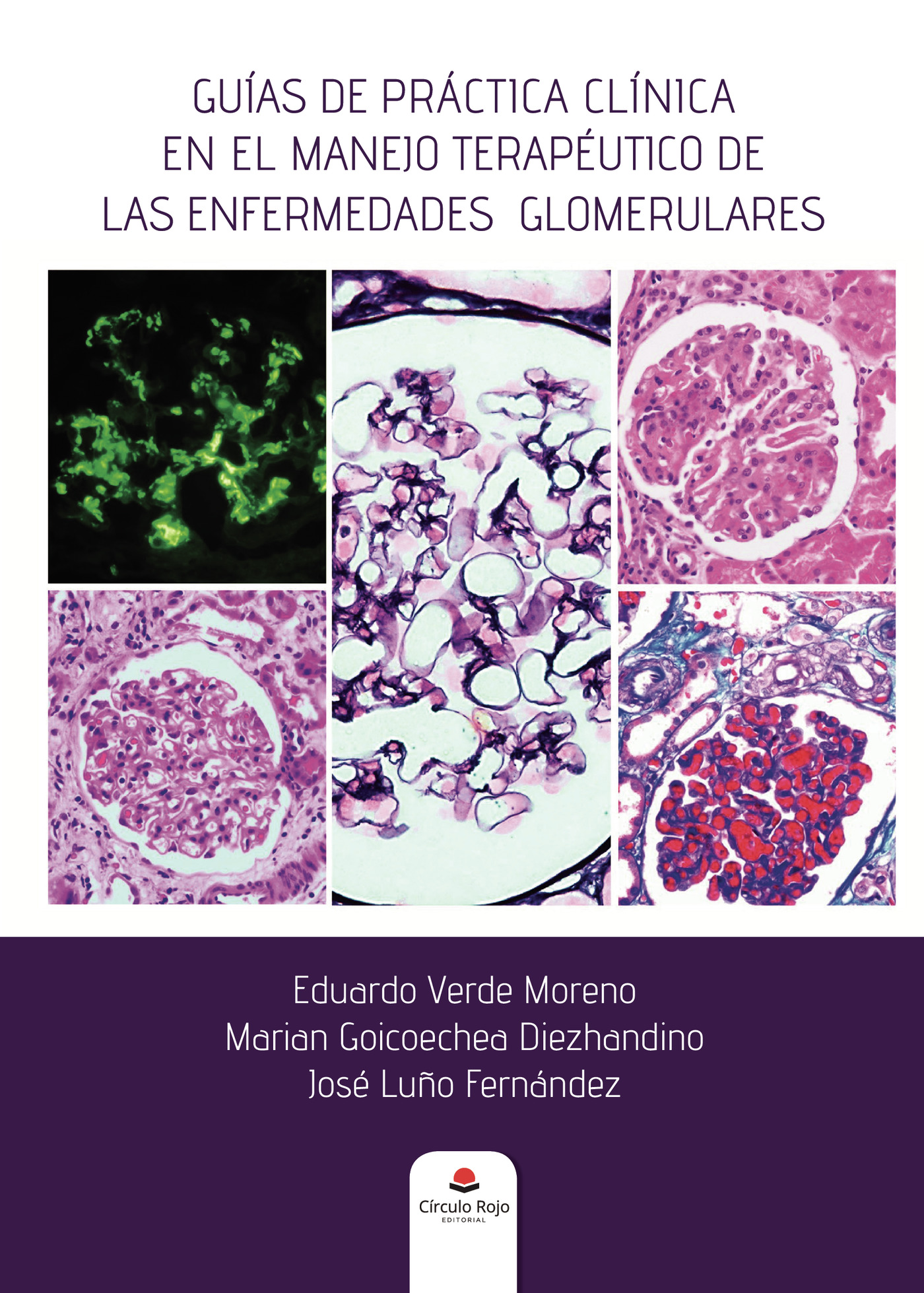 Portada de Guías de práctica clínica en el manejo terapéutico de las enfermedades glomerulares