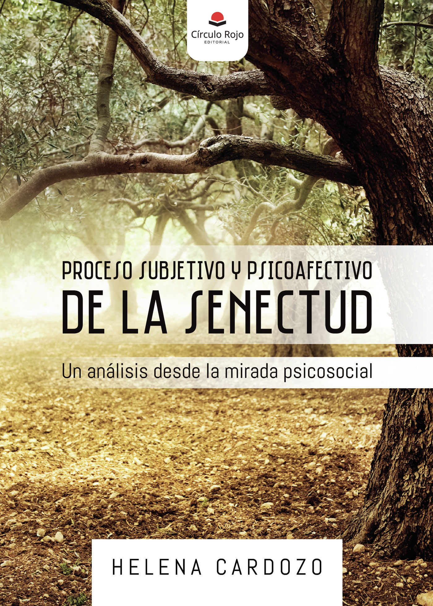 Portada de PROCESO SUBJETIVO Y PSICOAFECTIVO DE LA SENECTUD. Un análisis desde la mirada psicosocial