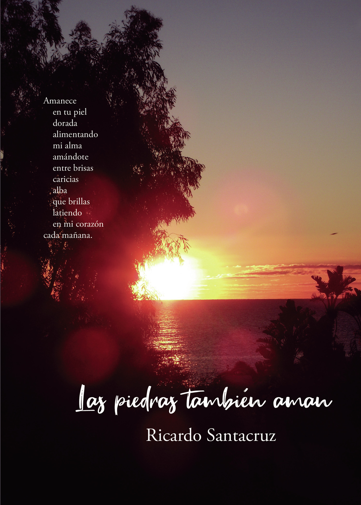 Portada de Las piedras tambien aman