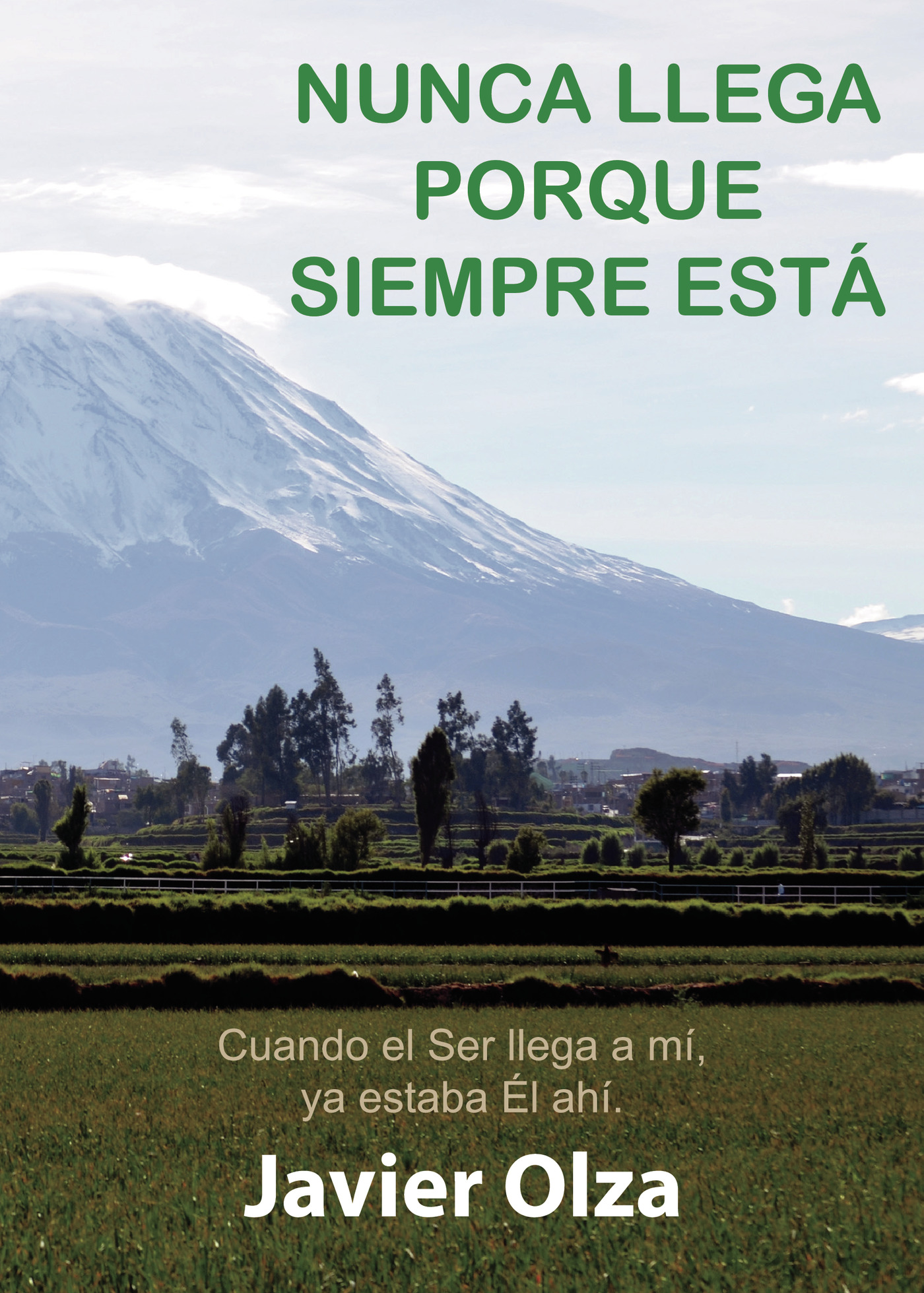 Portada de Nunca llega porque siempre está