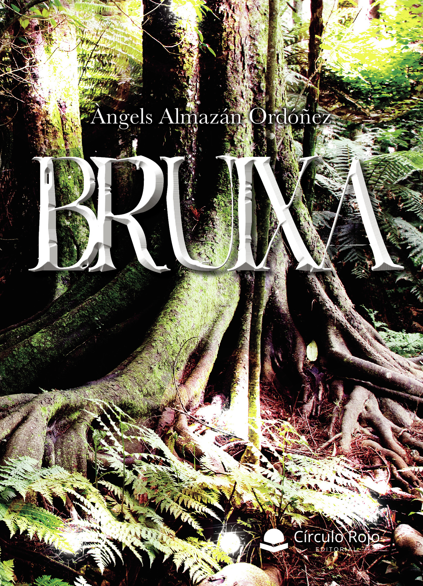 Portada de Bruixa