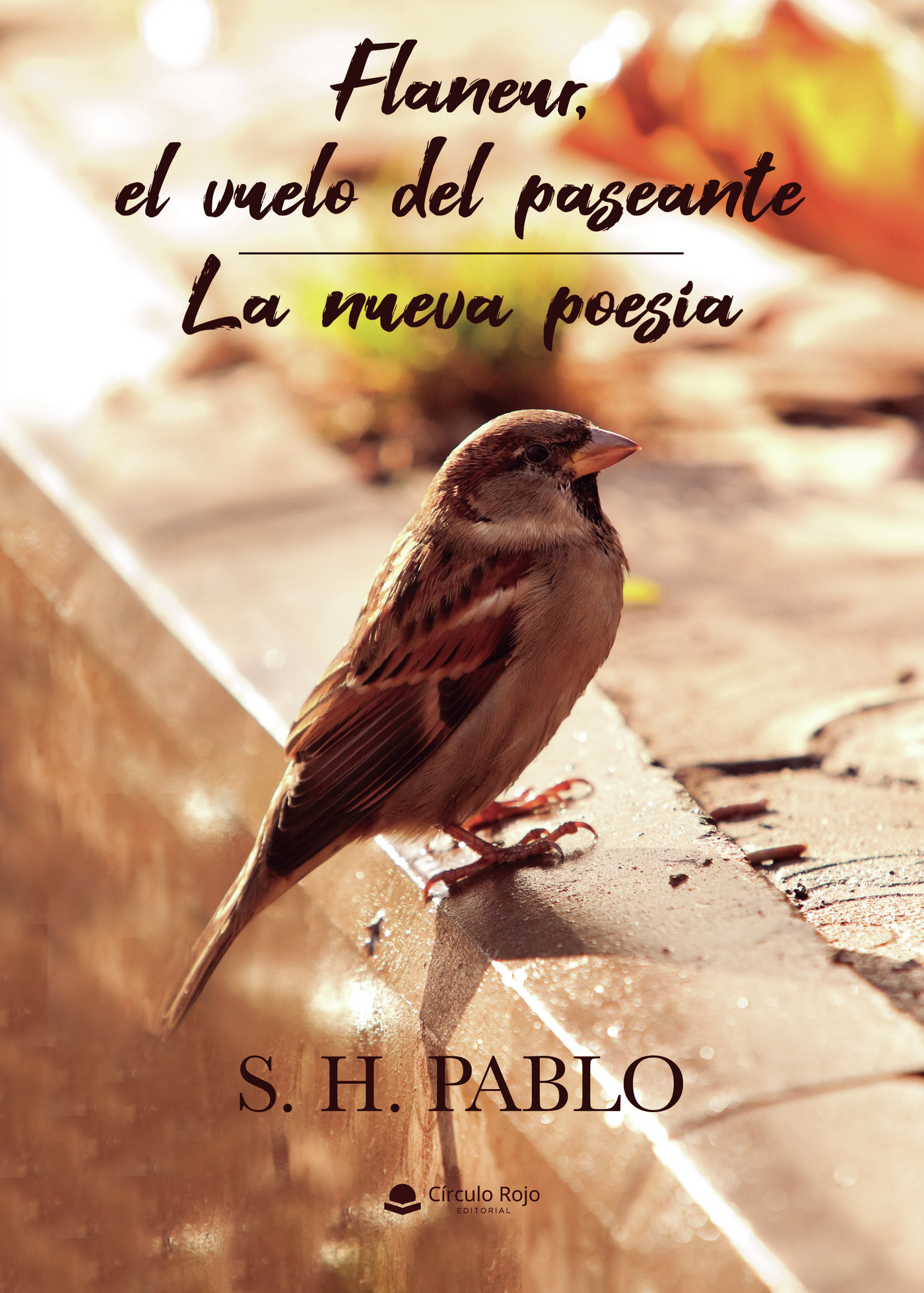 Portada de Flaneur, el vuelo del paseante