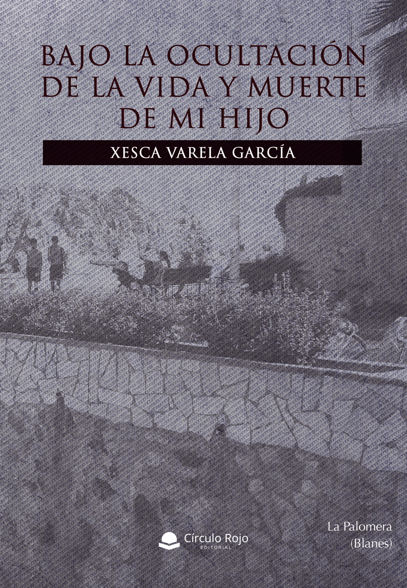 Portada de Bajo la ocultación de la vida y muerte de mi hijo