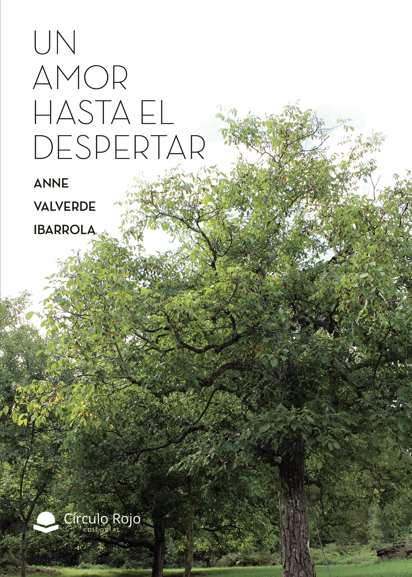Portada de Un amor hasta el despertar