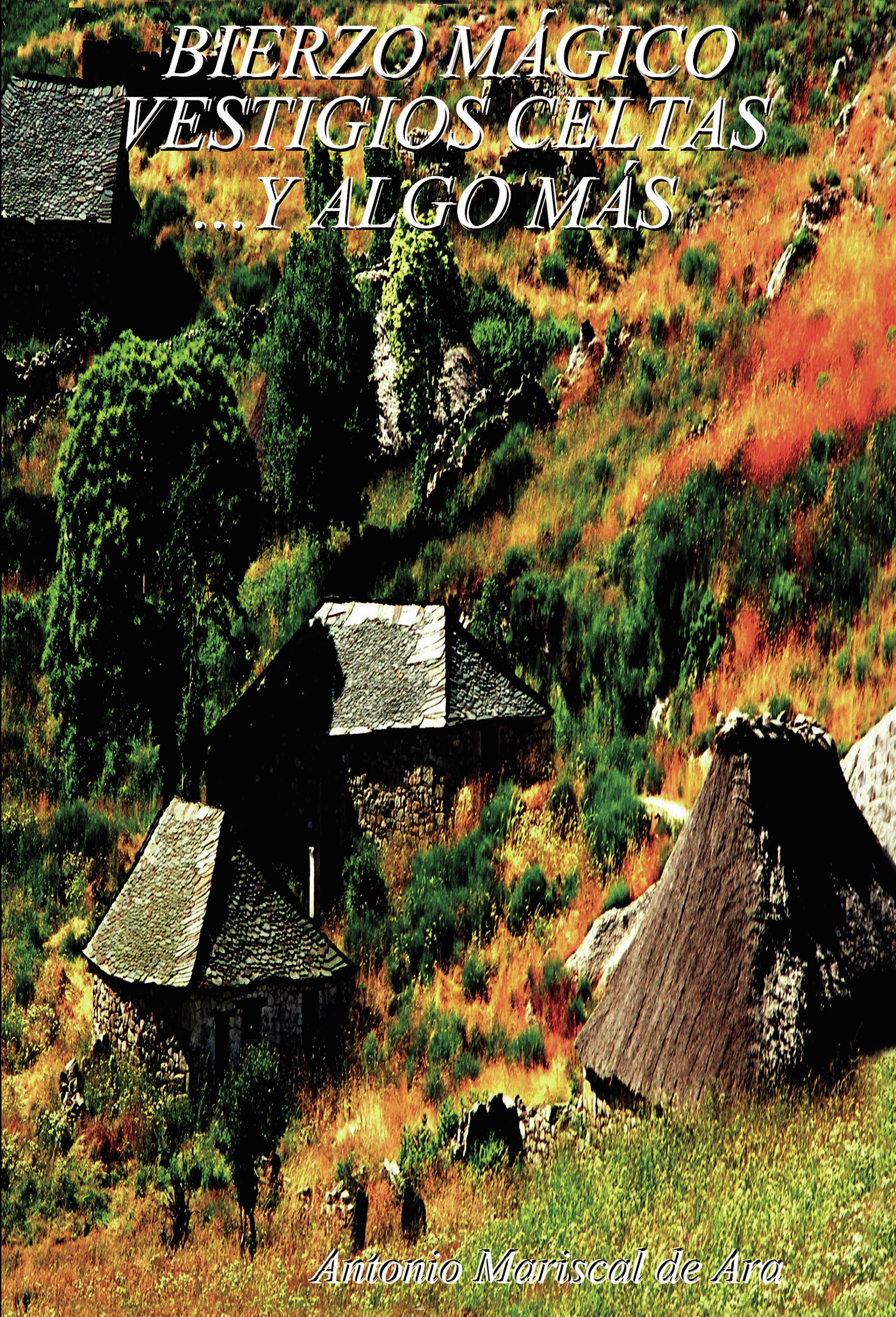 Portada de Bierzo mágico: vestigios celtas... y algo más