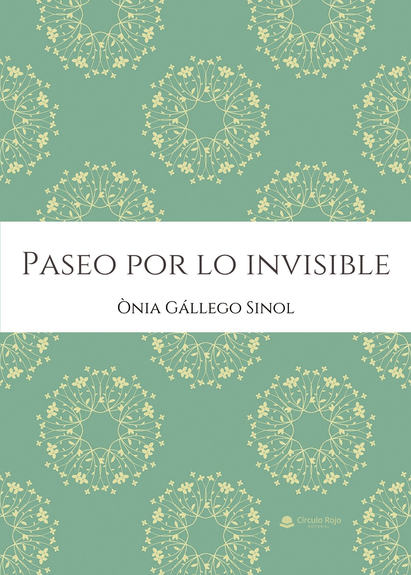 Portada de Paseo por lo invisible