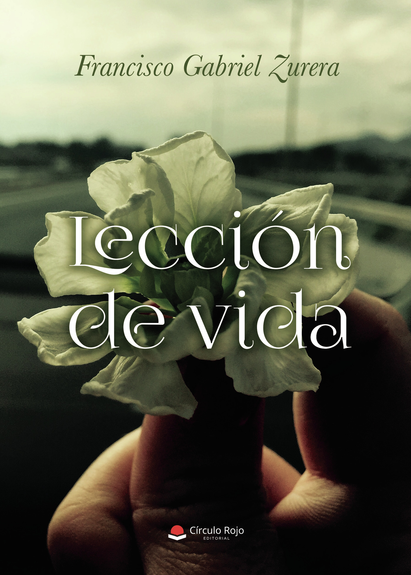 Portada de Lección de vida