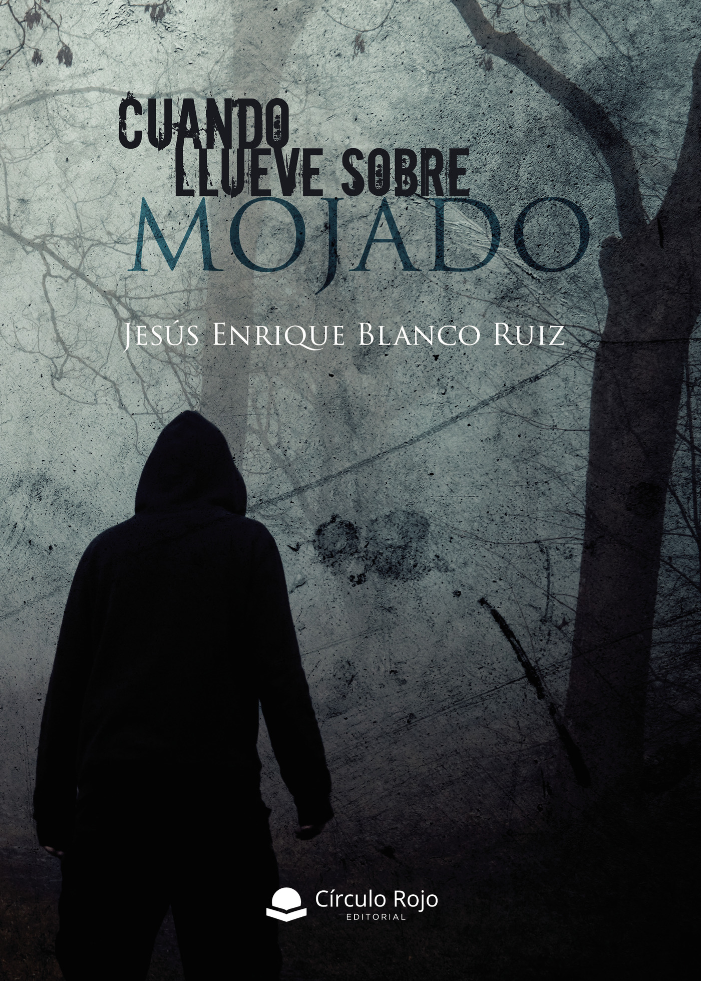 Portada de Cuando llueve sobre mojado