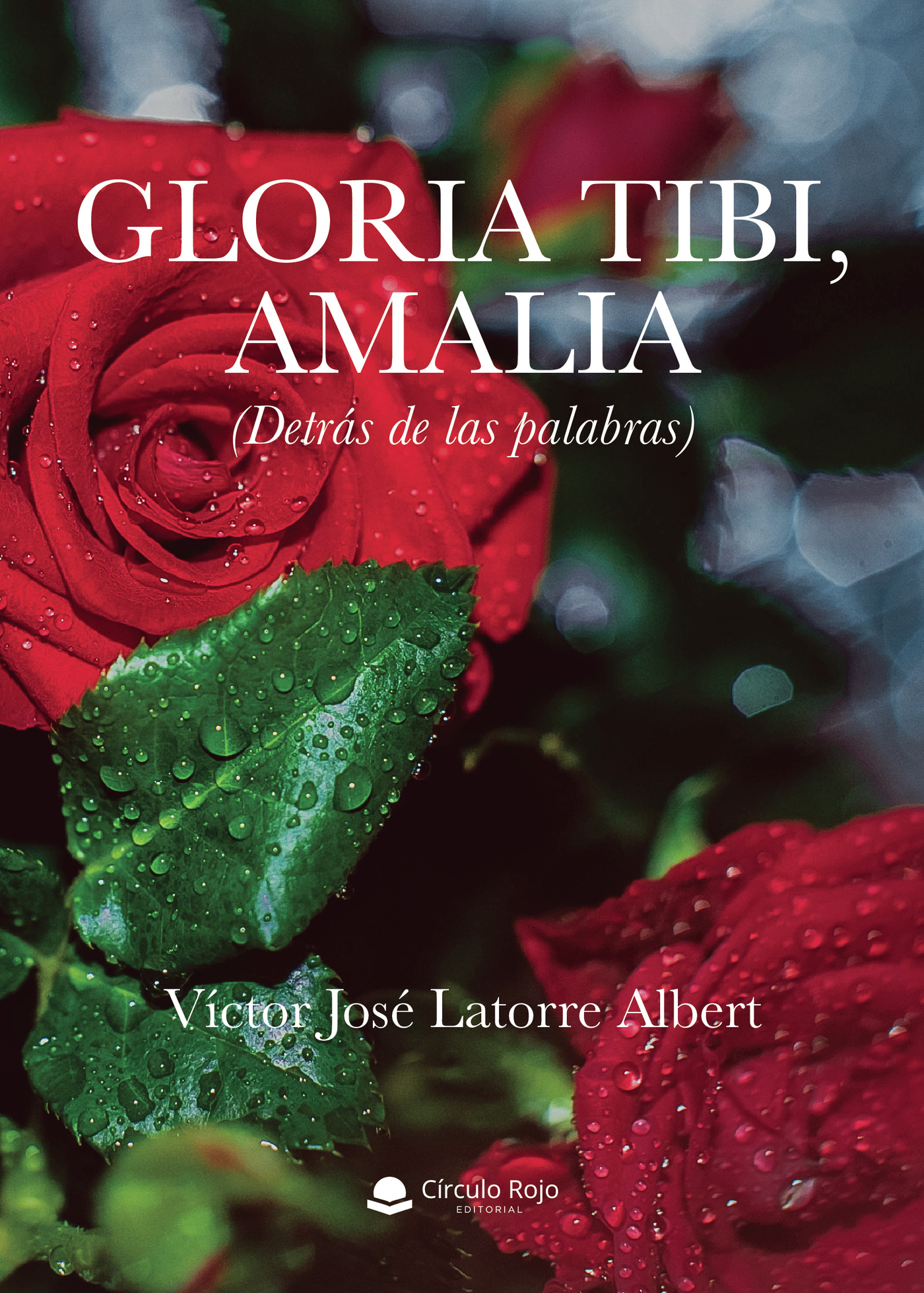 Portada de GLORIA TIBI, AMALIA (DETRÁS DE LAS PALABRAS)