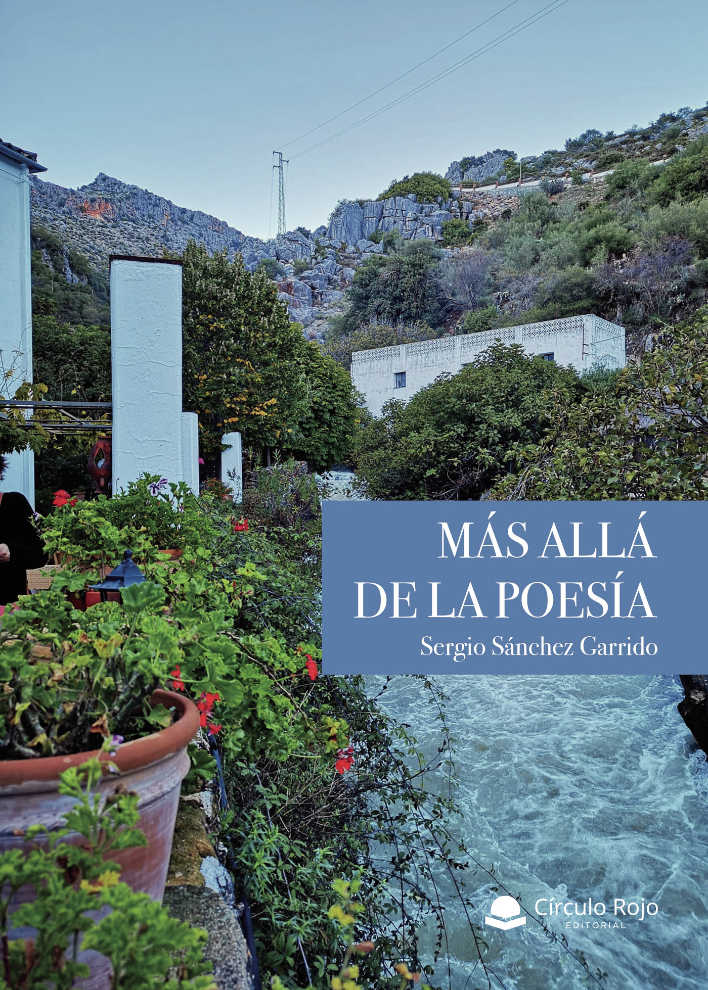 Portada de MÁS ALLÁ DE LA POESÍA