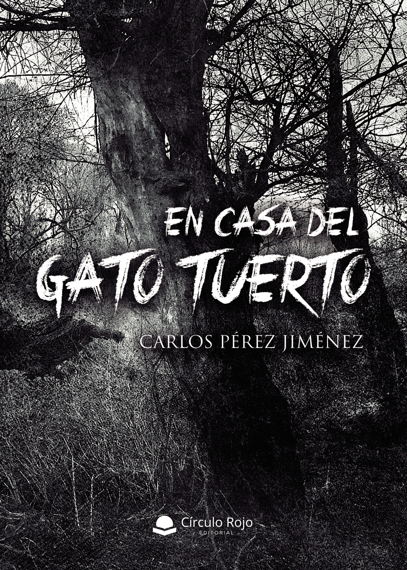 Portada de En casa del gato tuerto · Carlos Pérez Jiménez