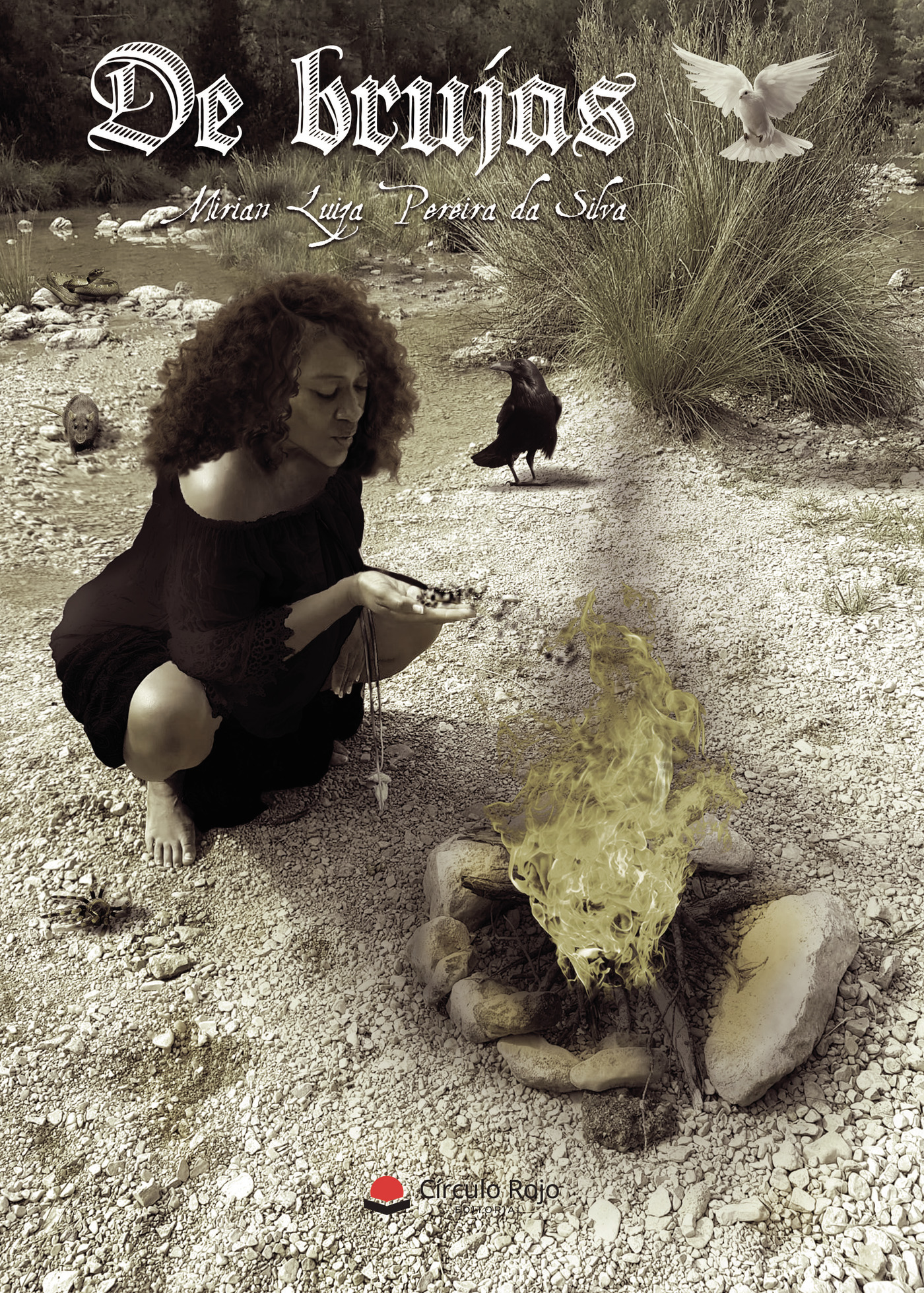Portada de De brujas · Mirian Luiza Pereira da Silva