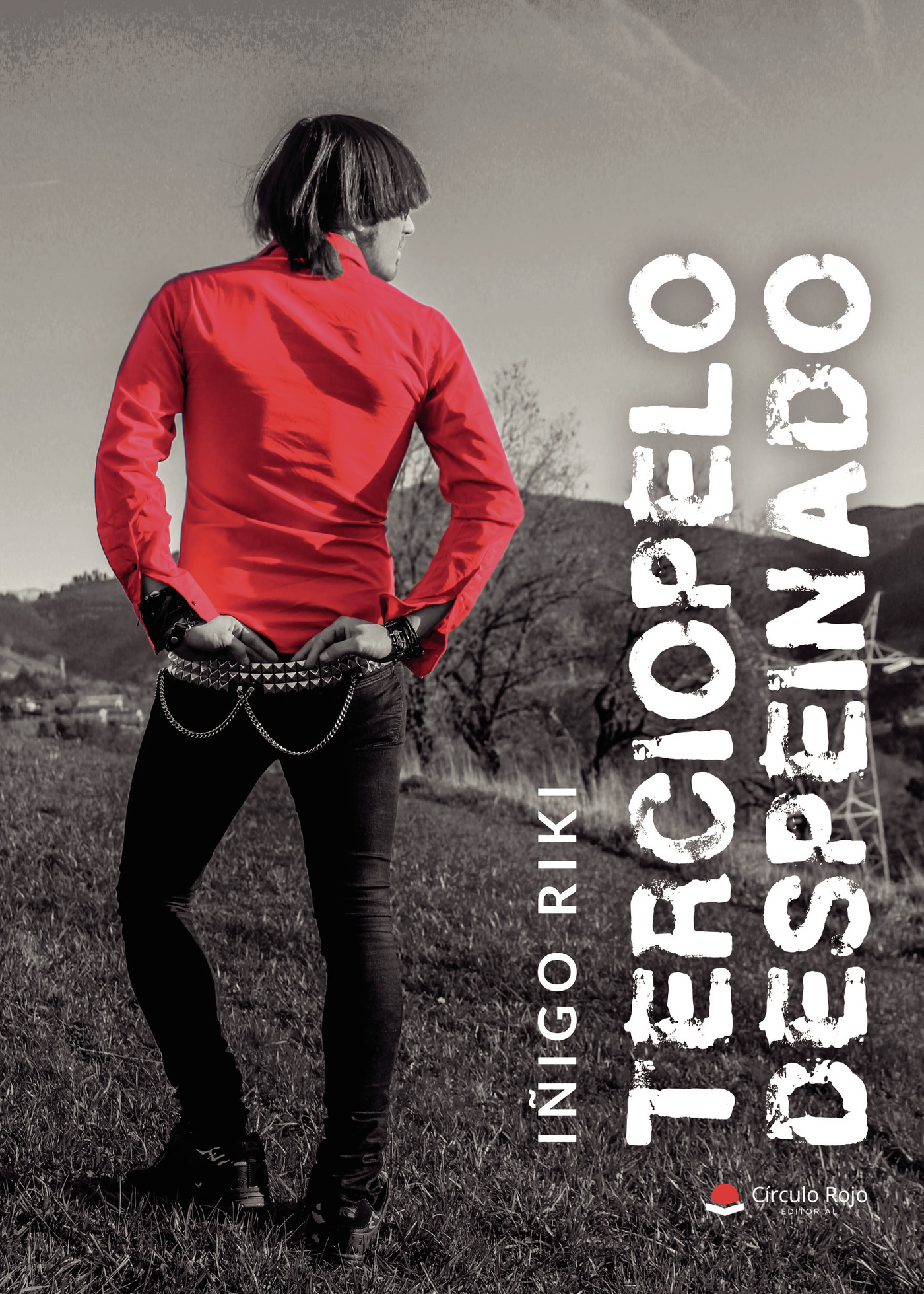 Portada de Terciopelo despeinado