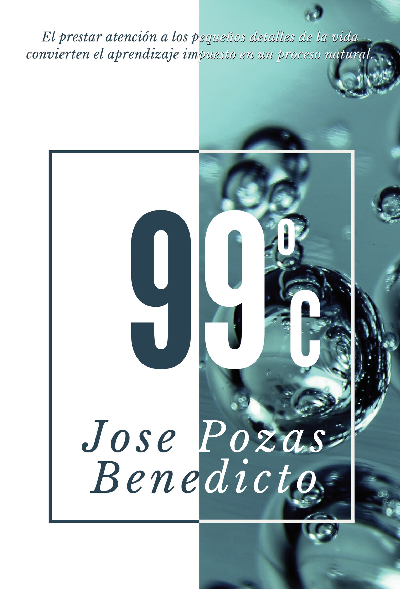 Portada de 99 ºc