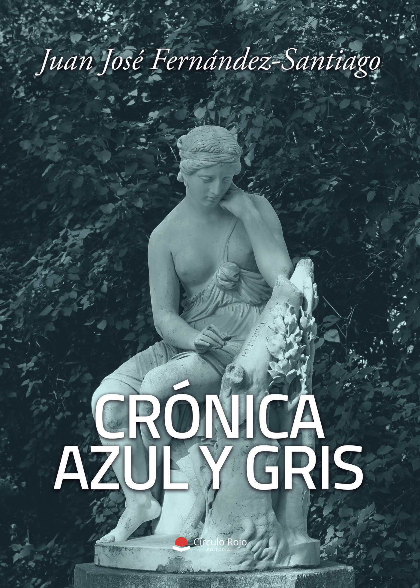 Portada de Crónica azul y gris