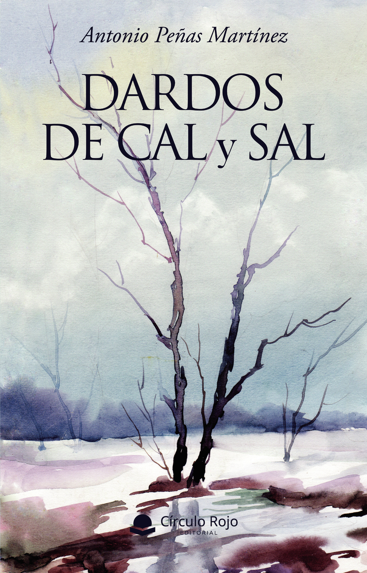 Portada de Dardos de cal y sal