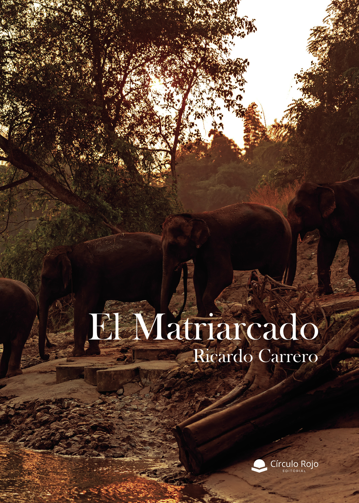 Portada de El Matriarcado